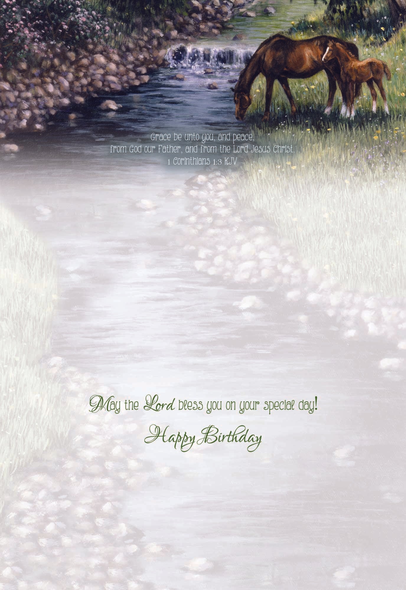 Christian Birthday Cards by Shared Blessings-Beginnings, 12 Cards