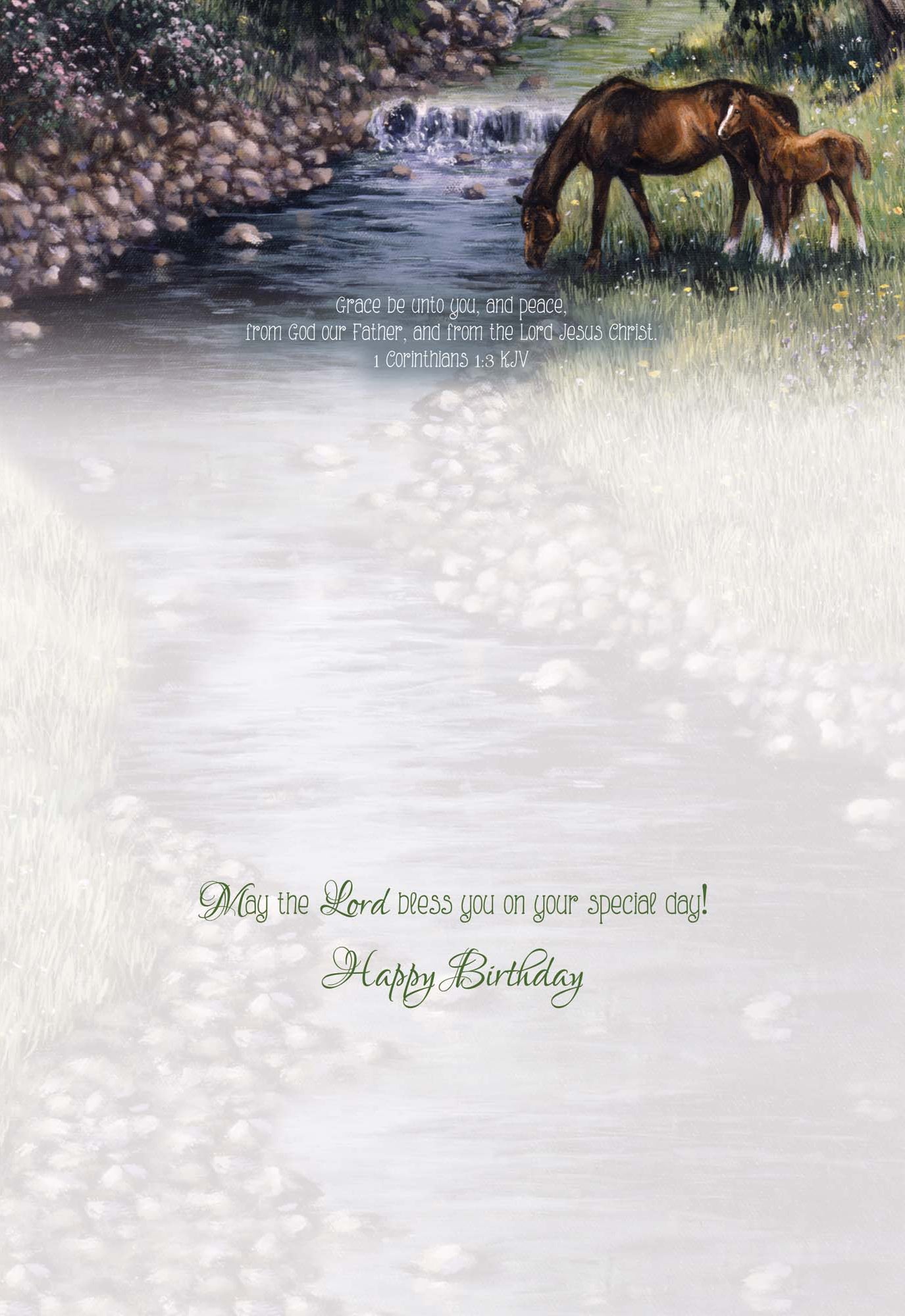 Christian Birthday Cards by Shared Blessings - It's Your Birthday, 24 Cards and Envelopes