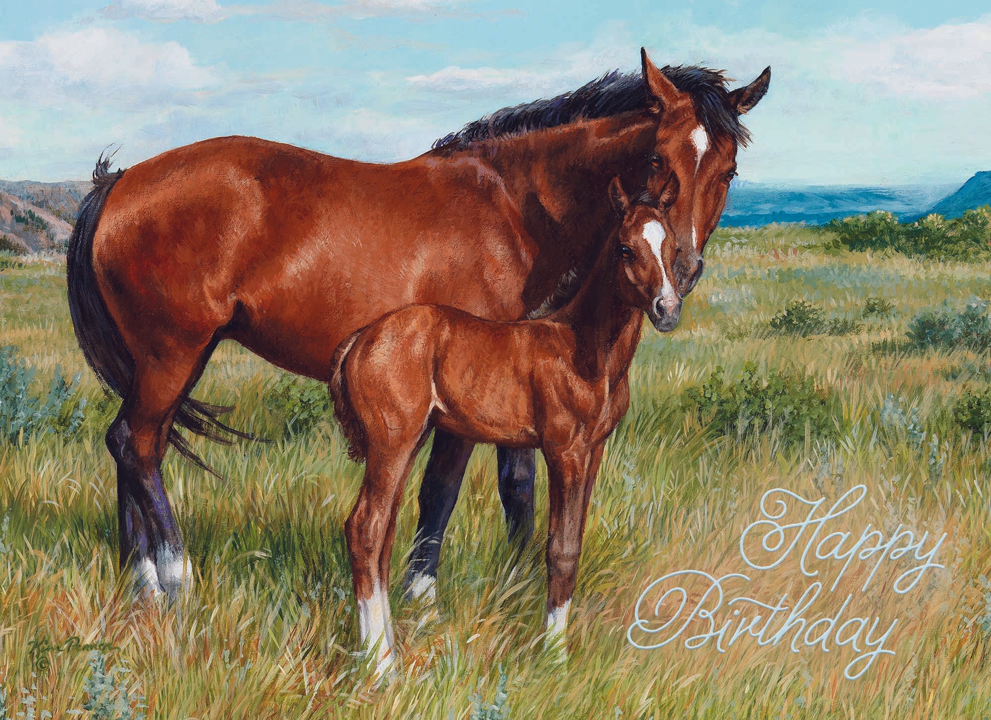 Christian Birthday Cards by Shared Blessings-Beginnings, 12 Cards