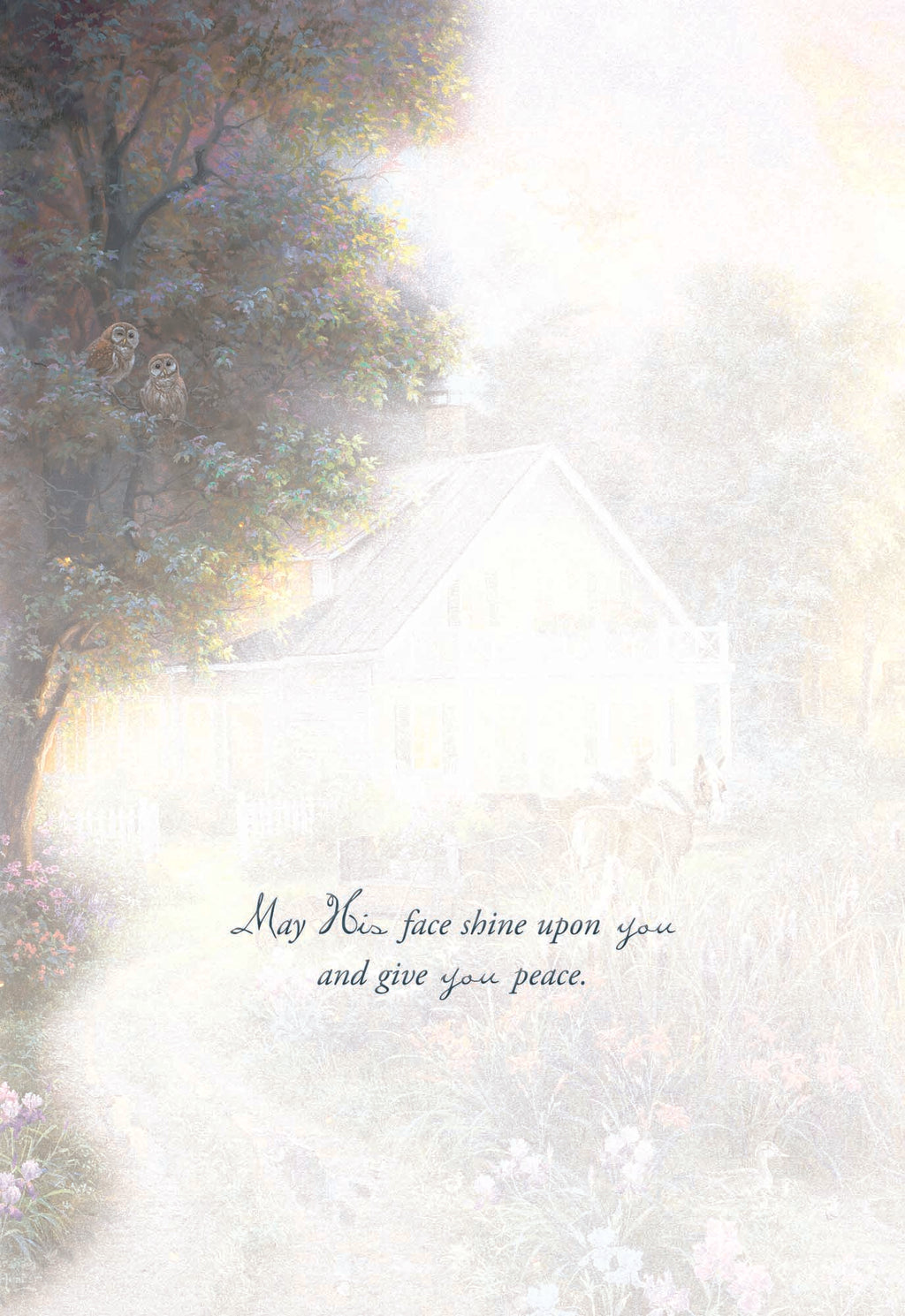 Seasons  - Boxed Ecouragement Cards, Box of 12