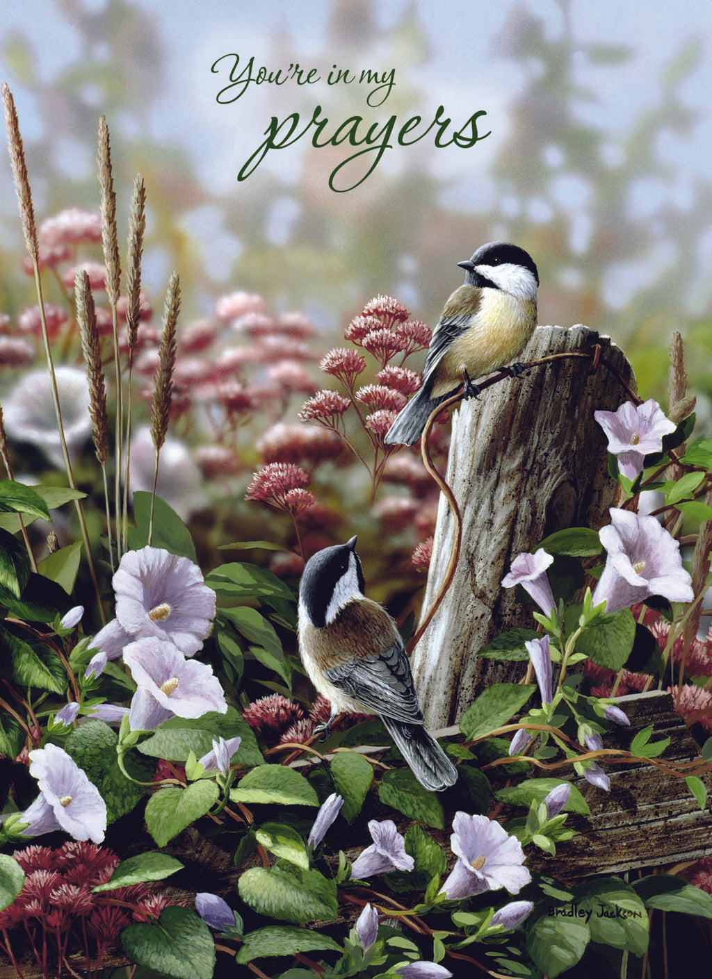 Christian Thinking of You Cards by Shared Blessings, Signs of Spring  - Box of 12 Cards and Envelopes