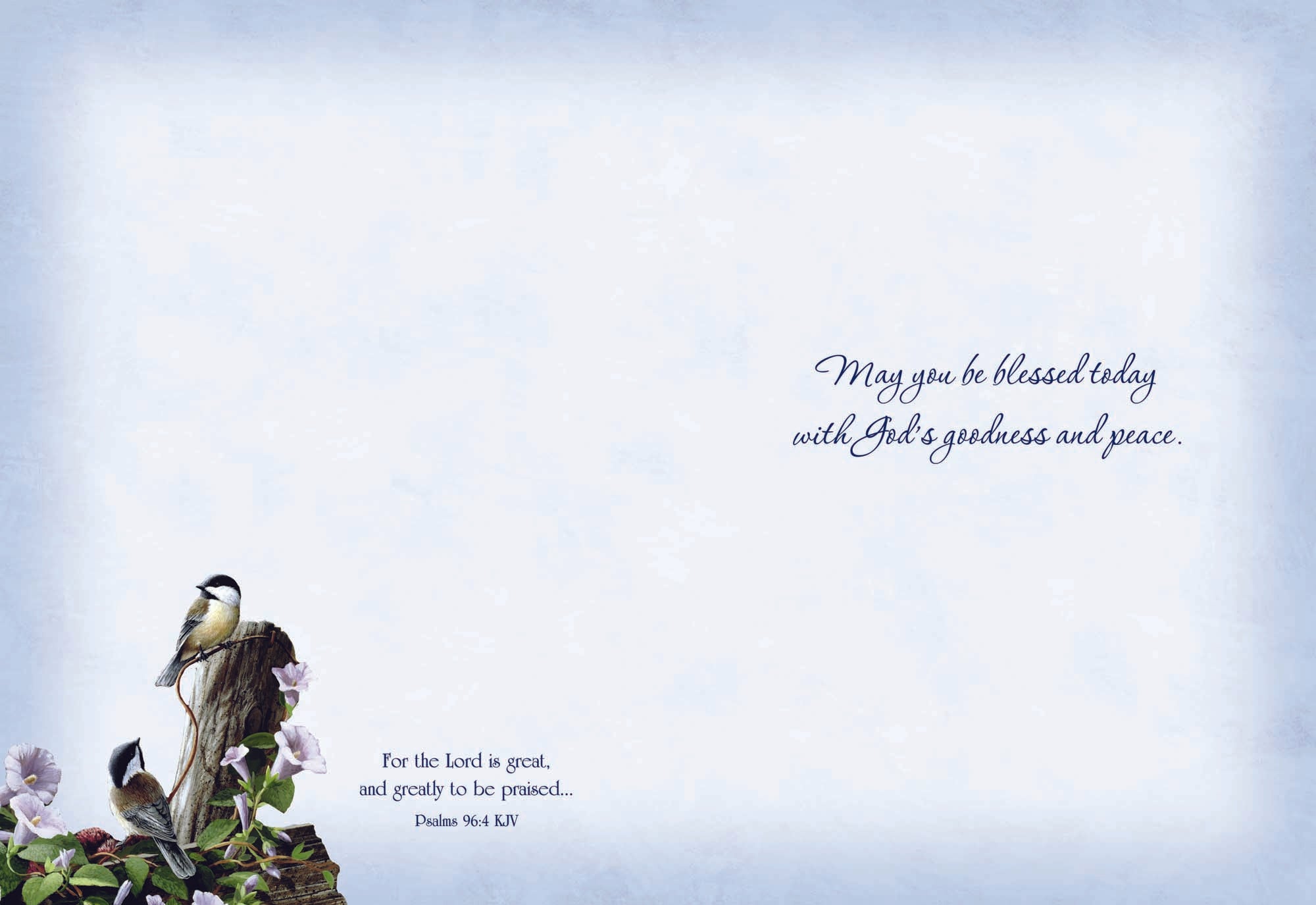 Christian Thinking of You Cards by Shared Blessings, Signs of Spring  - Box of 12 Cards and Envelopes