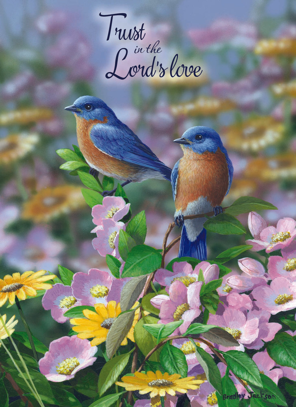 Christian Thinking of You Cards by Shared Blessings, Signs of Spring  - Box of 12 Cards and Envelopes