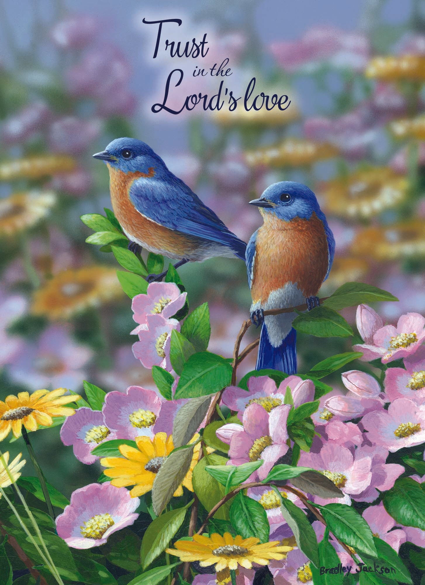 Christian Thinking of You Cards by Shared Blessings, Signs of Spring  - Box of 12 Cards and Envelopes