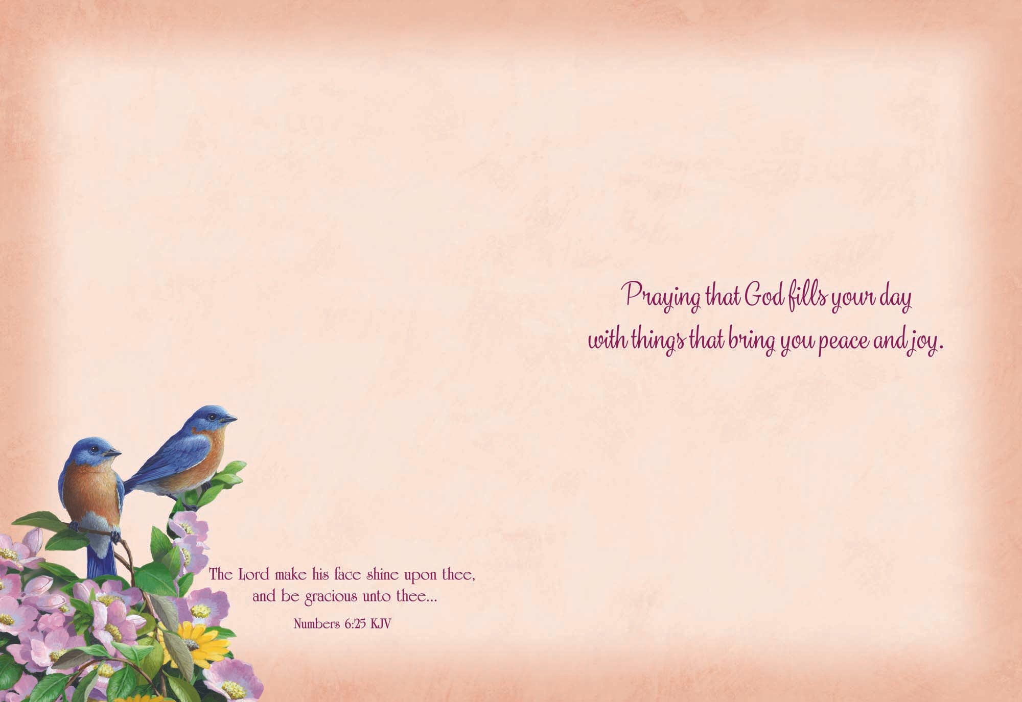 Christian Thinking of You Cards by Shared Blessings, Signs of Spring  - Box of 12 Cards and Envelopes