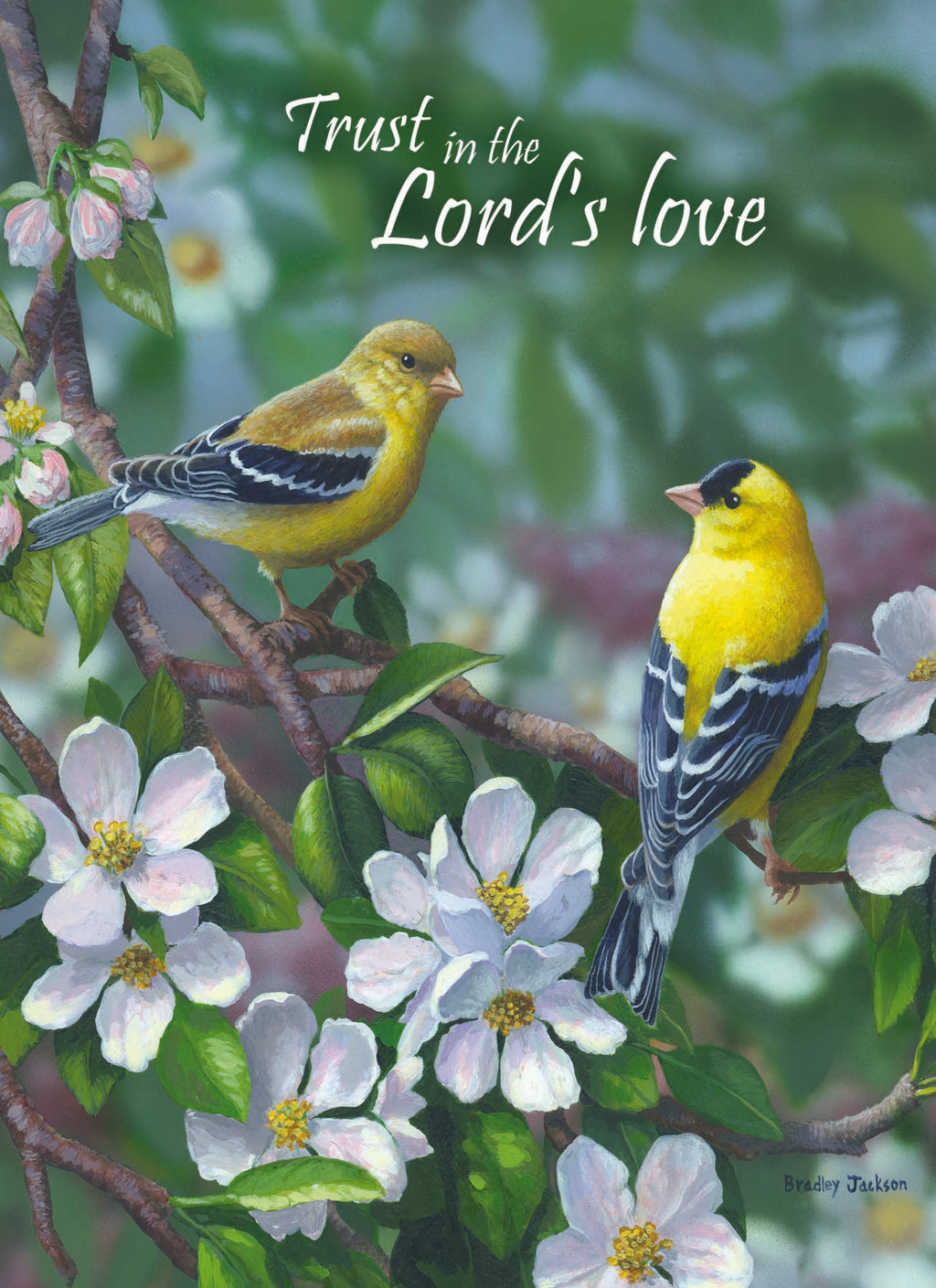 Christian Thinking of You Cards by Shared Blessings, Signs of Spring  - Box of 12 Cards and Envelopes