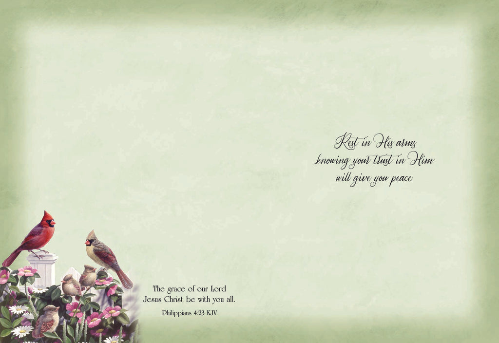 Christian Thinking of You Cards by Shared Blessings, Signs of Spring  - Box of 12 Cards and Envelopes