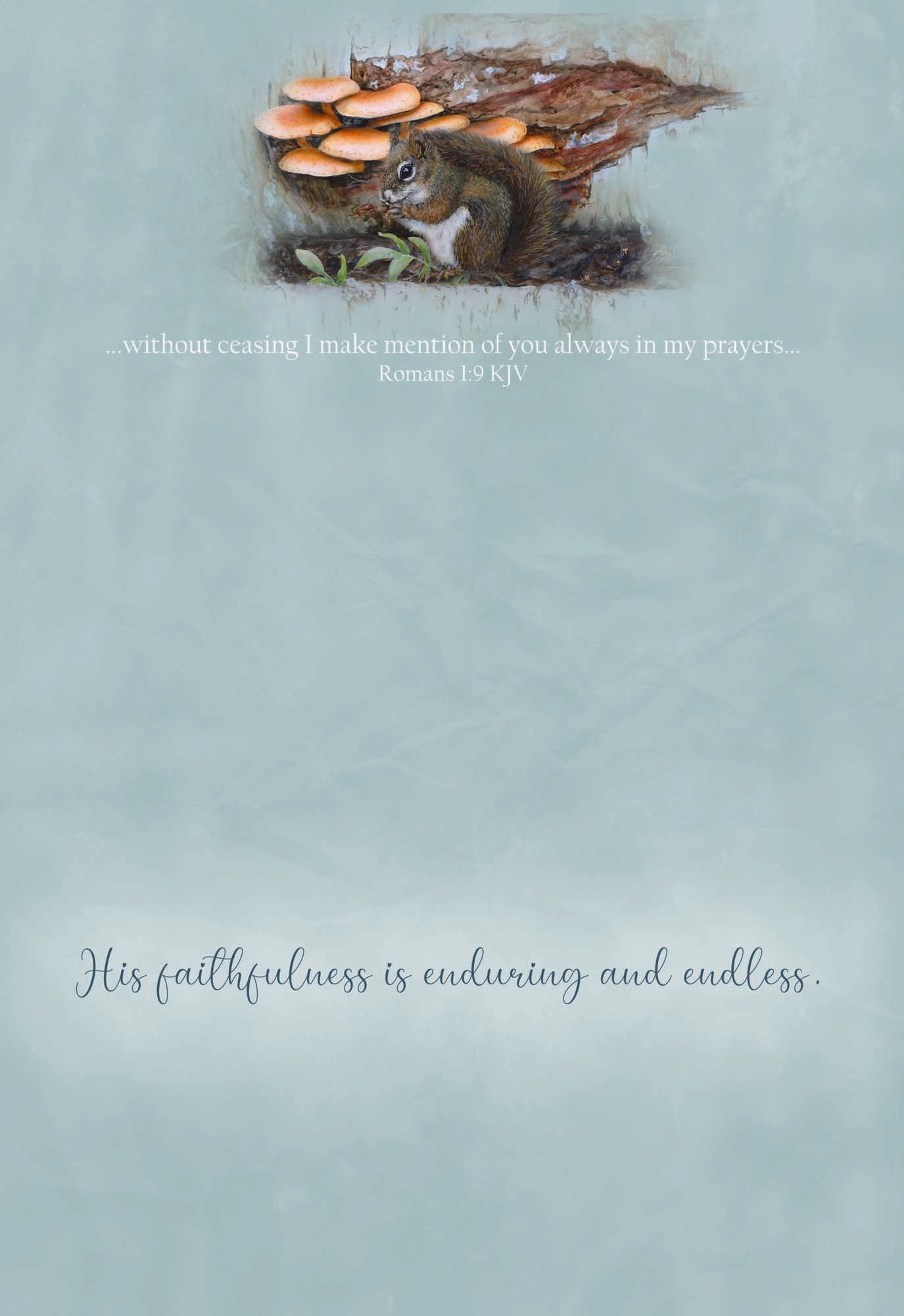 Christian Thinking of You Cards by Shared Blessings, Woodlands, Box of 12