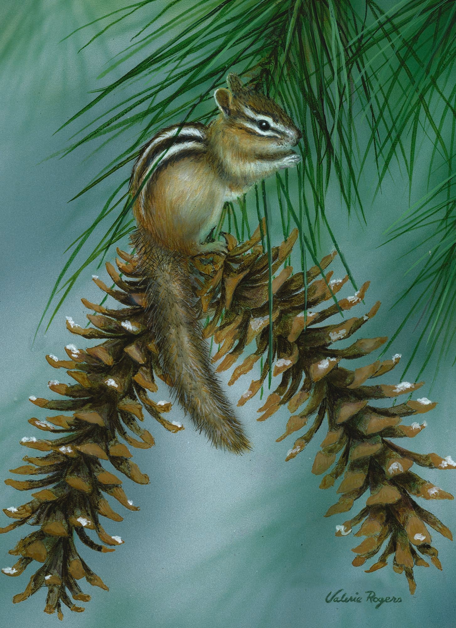 Christian Thinking of You Cards by Shared Blessings, Woodlands, Box of 12