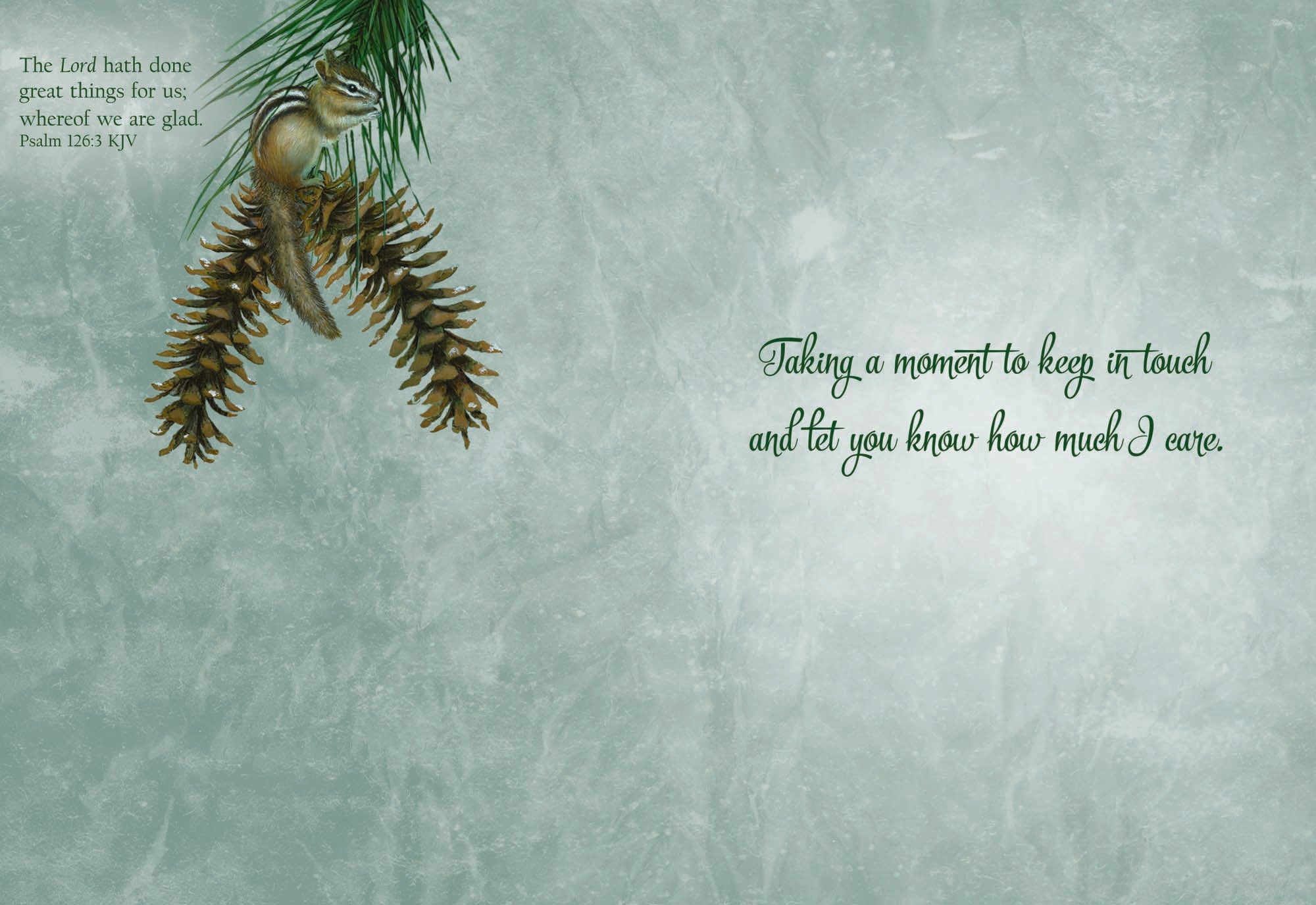 Christian Thinking of You Cards by Shared Blessings, Woodlands, Box of 12