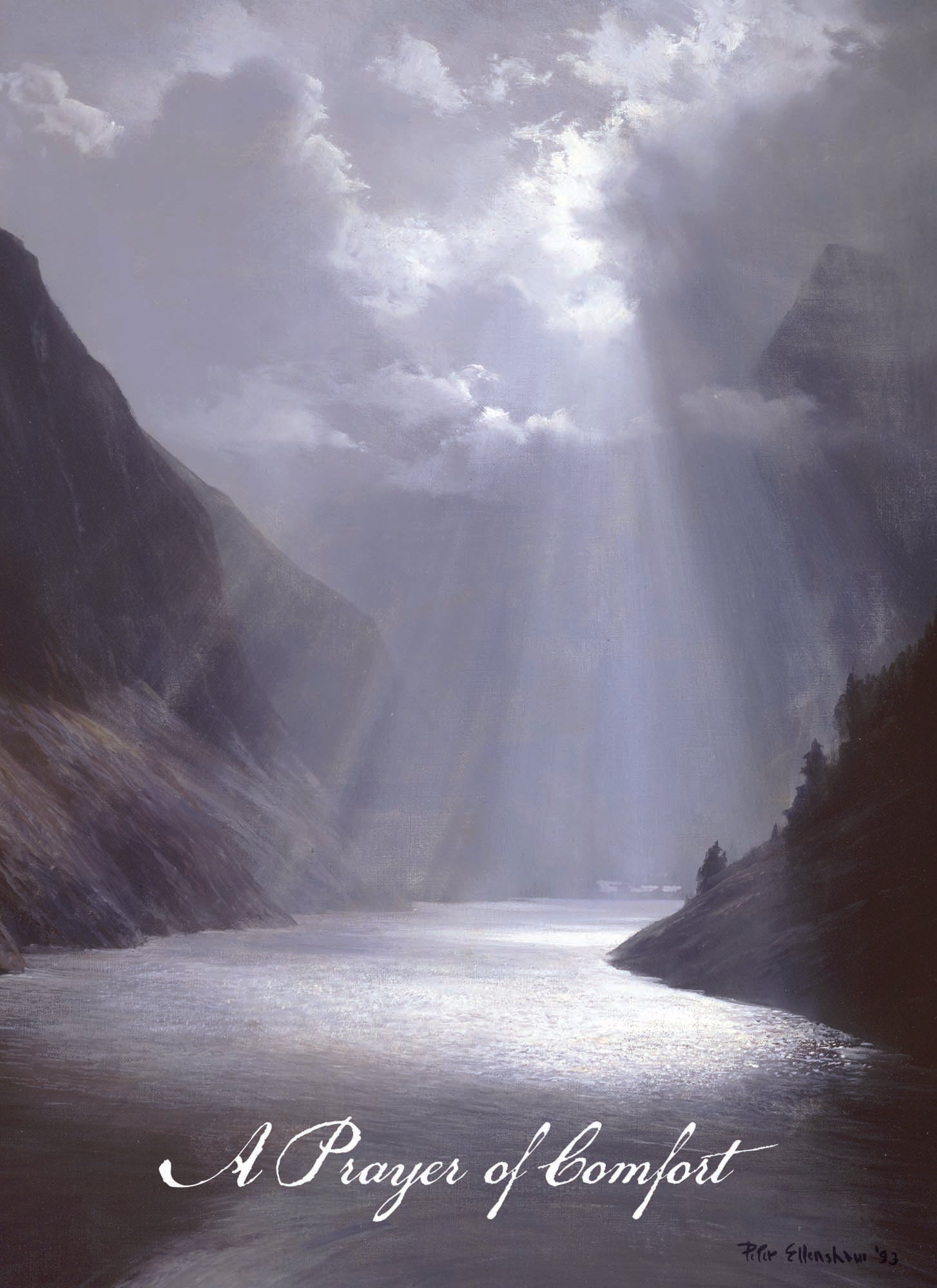 Sympathy - Coastal - assorted Sympathy Cards, Box of 12