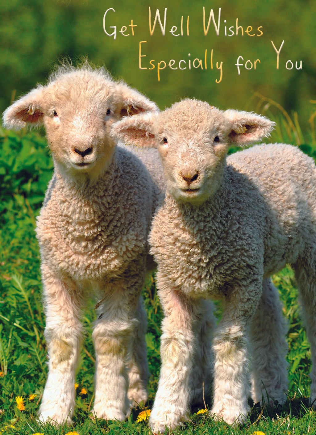 Card 1 - Front - Get well wishes Especially for you