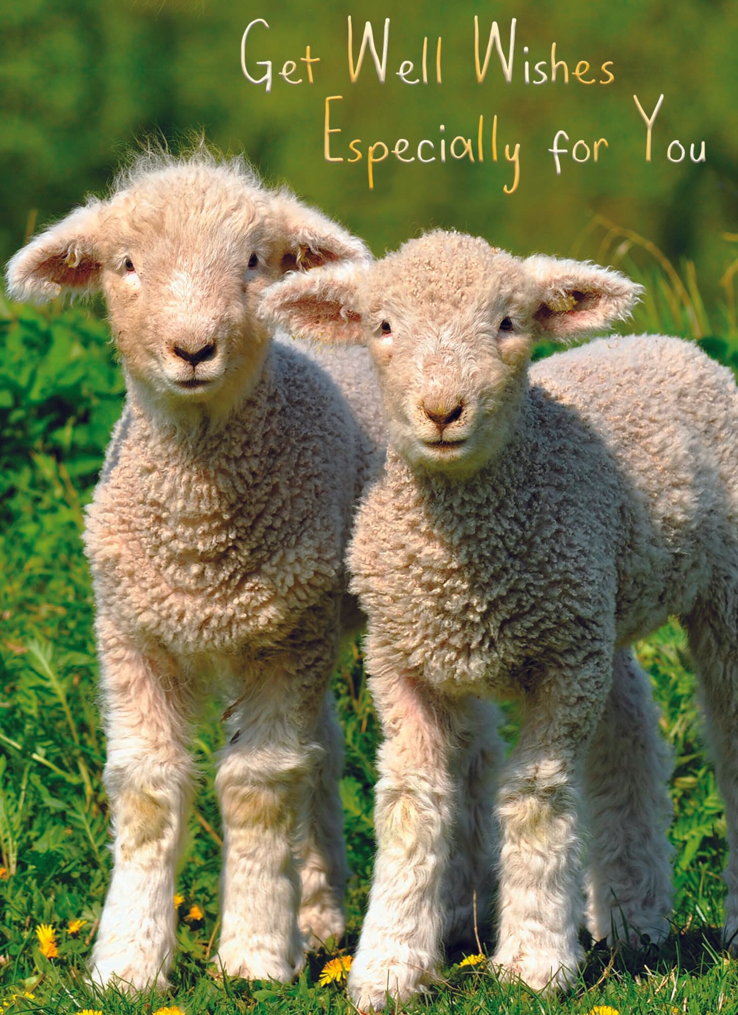 Card 1 - Front - Get well wishes Especially for you