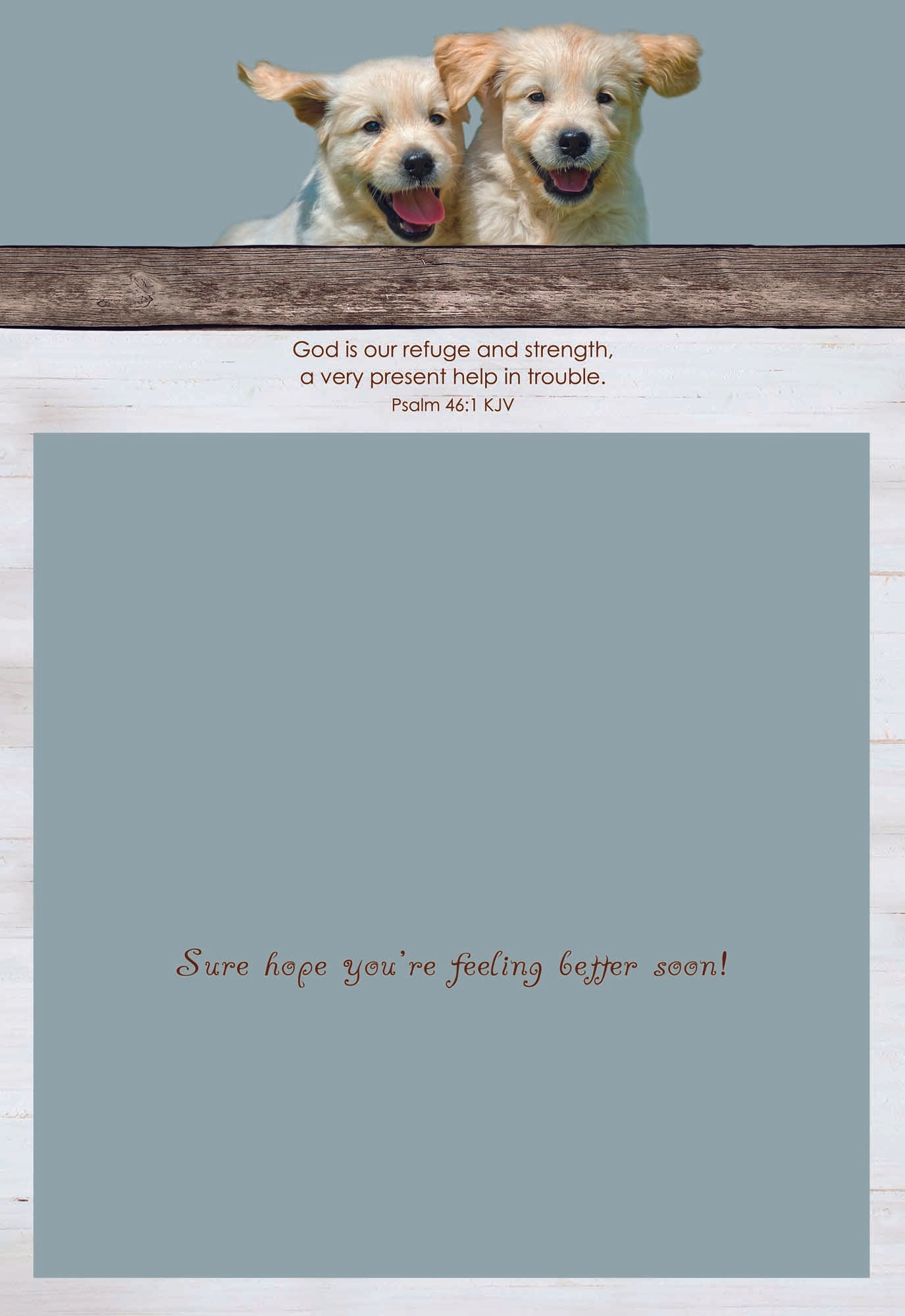 Card 3 Inside Message - Sure hope you're feeling better soon!