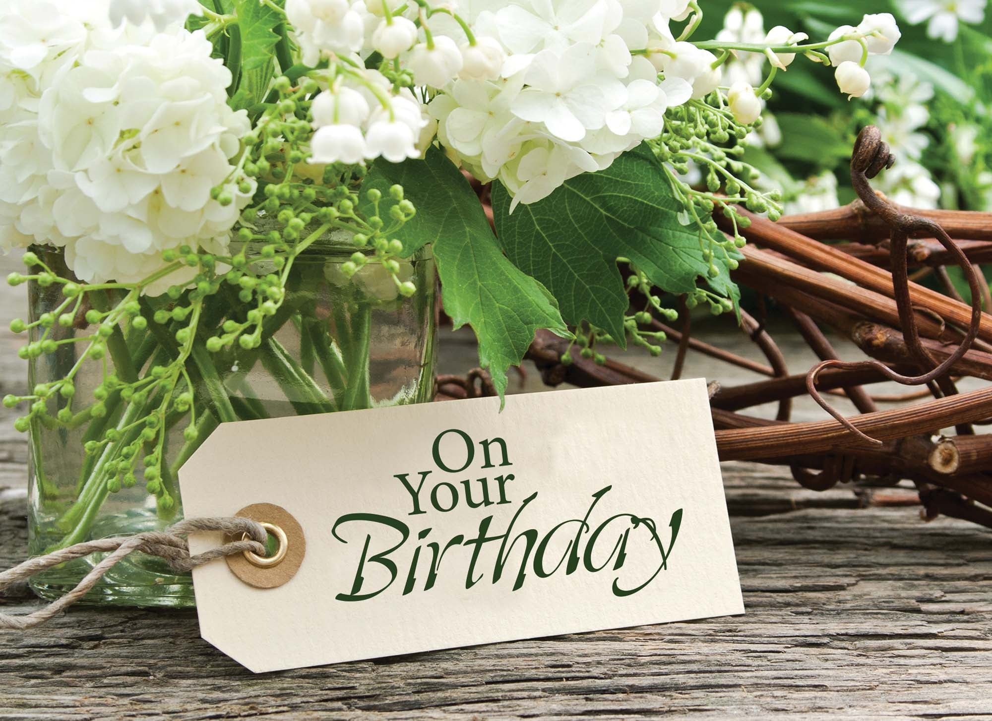 Christian Birthday Cards by Shared Blessings - Celebrations, 48 Assorted Cards