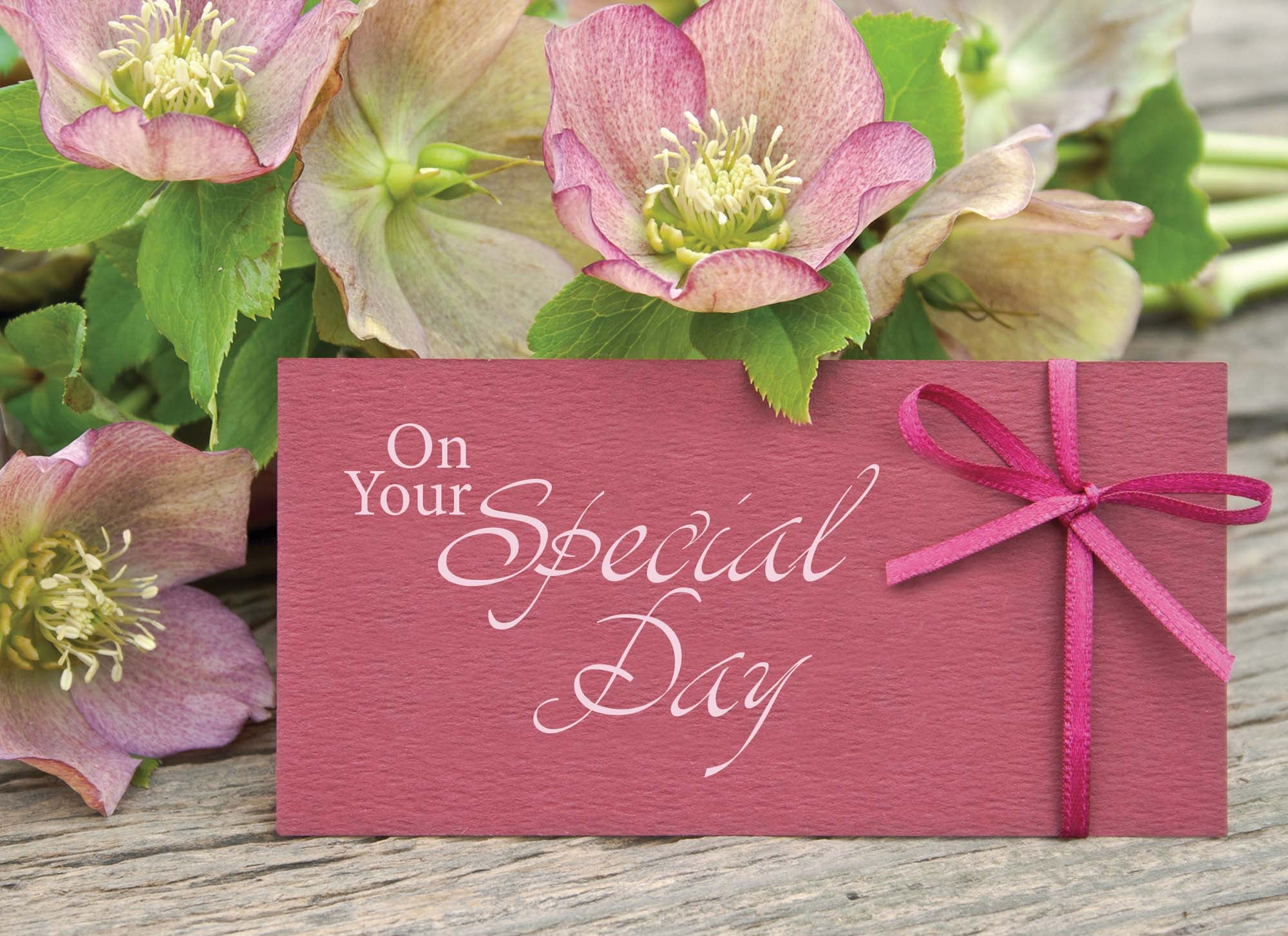 Christian Birthday Cards by Shared Blessings - It's Your Birthday, 24 Cards and Envelopes