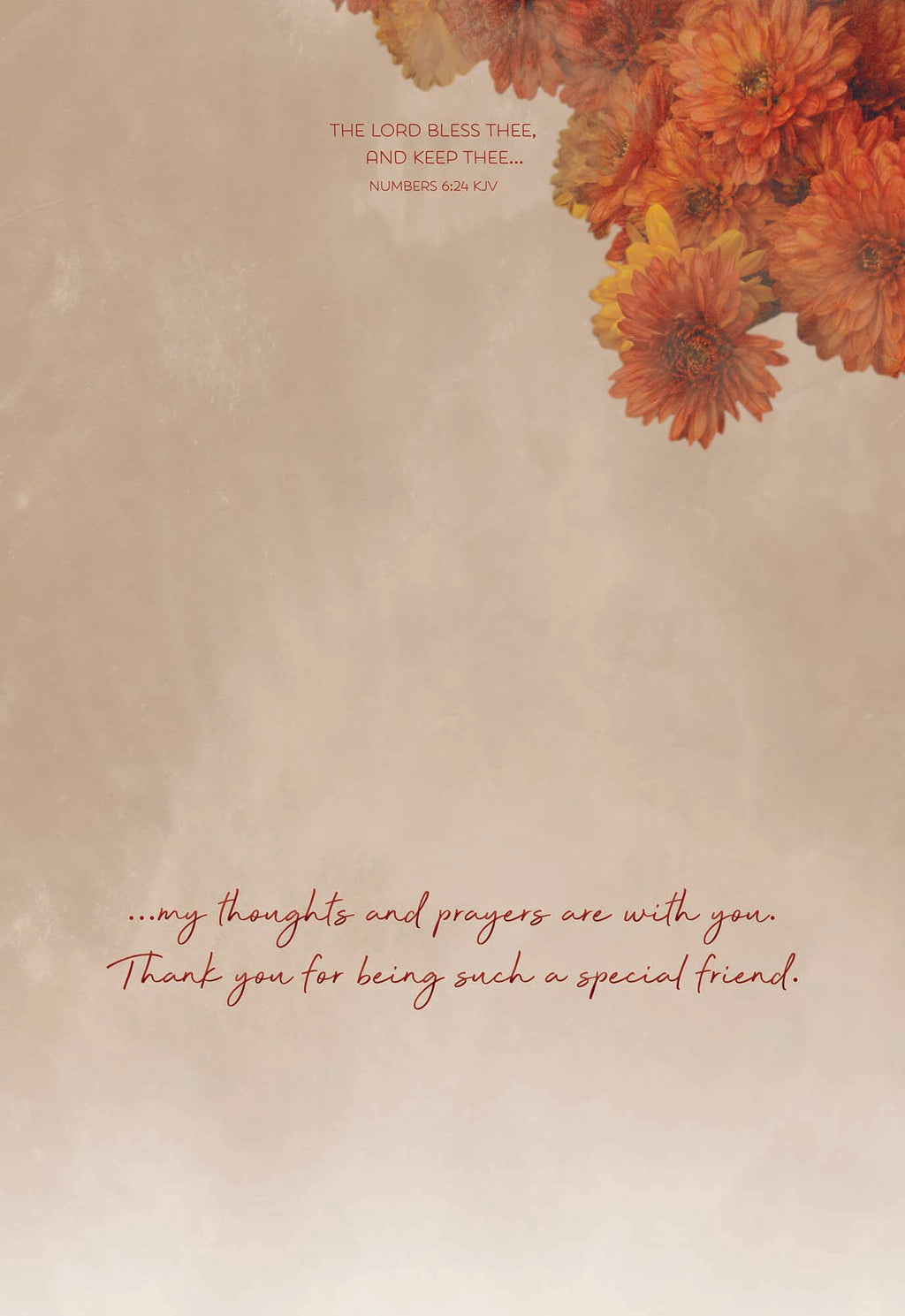 Christian Thinking of You Cards by Shared Blessings- Antique Floral, 12 Cards and Envelopes
