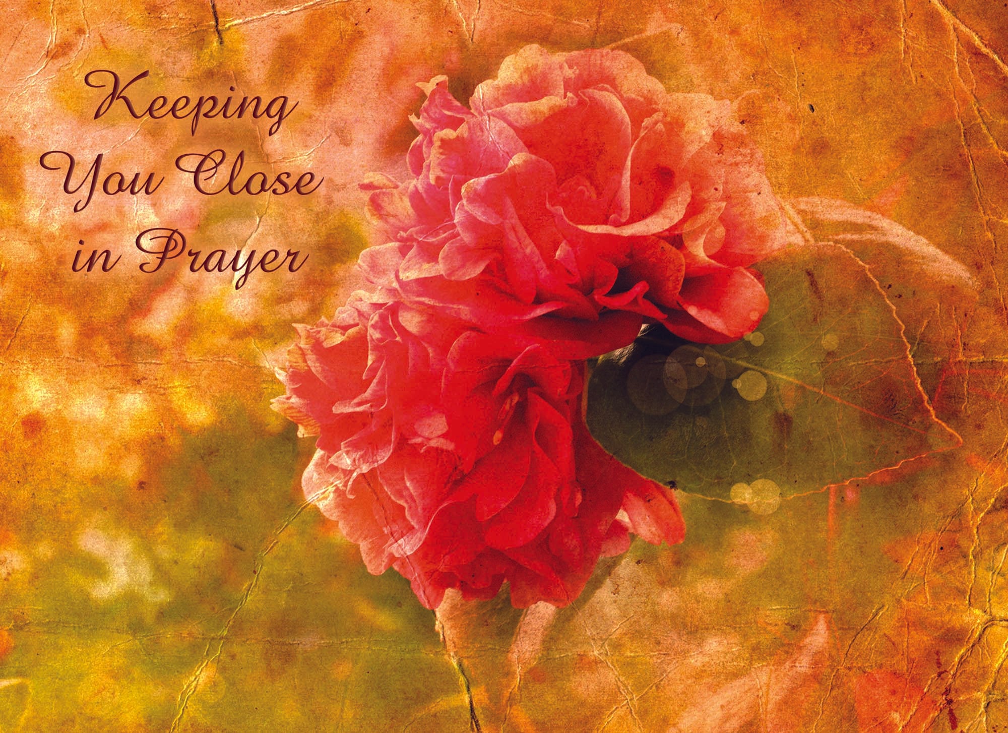 Christian Thinking of You Cards by Shared Blessings- Antique Floral, 12 Cards and Envelopes