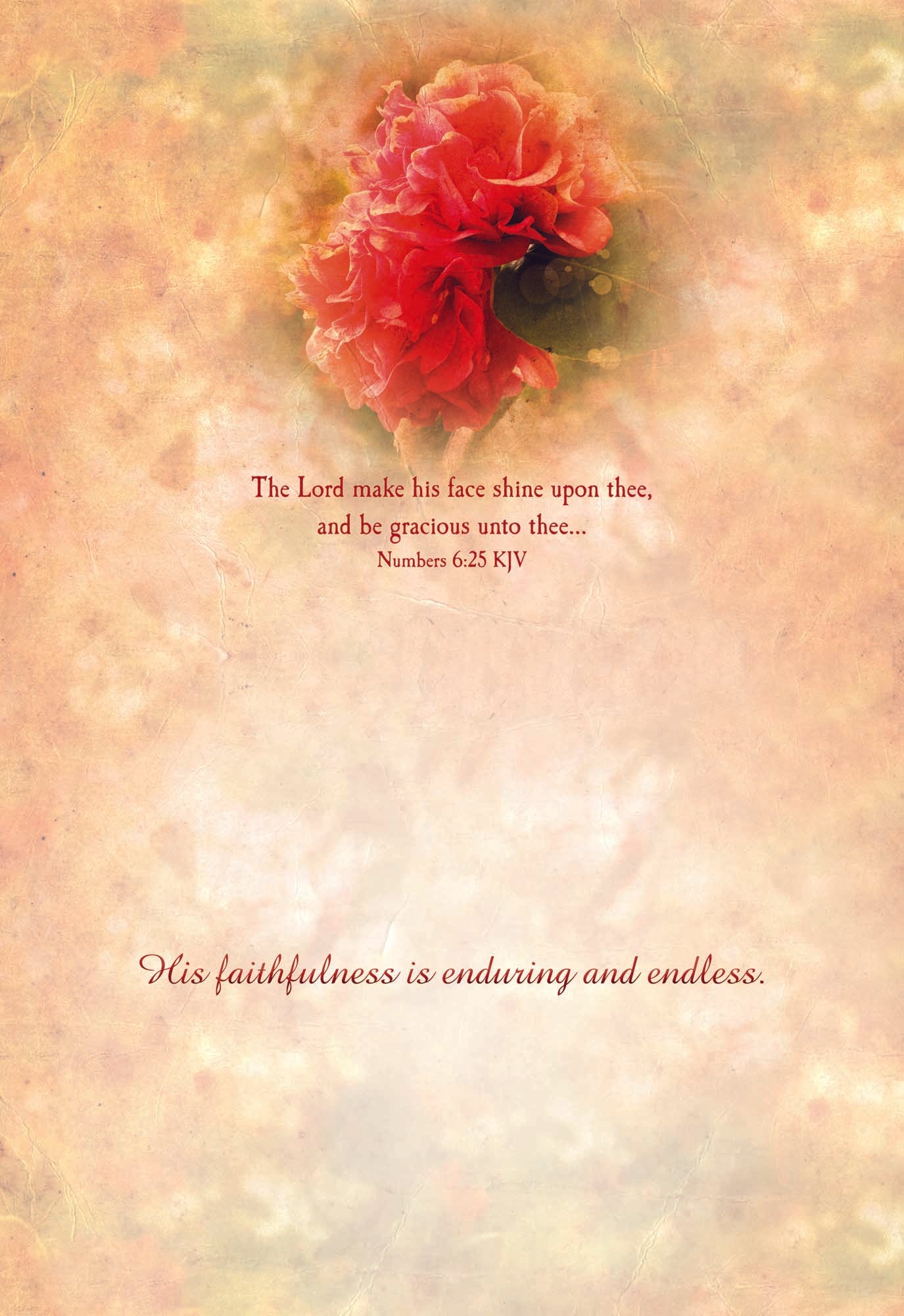 Christian Thinking of You Cards by Shared Blessings- Antique Floral, 12 Cards and Envelopes