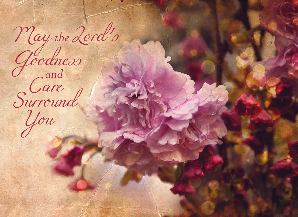 Christian Thinking of You Cards by Shared Blessings- Antique Floral, 12 Cards and Envelopes