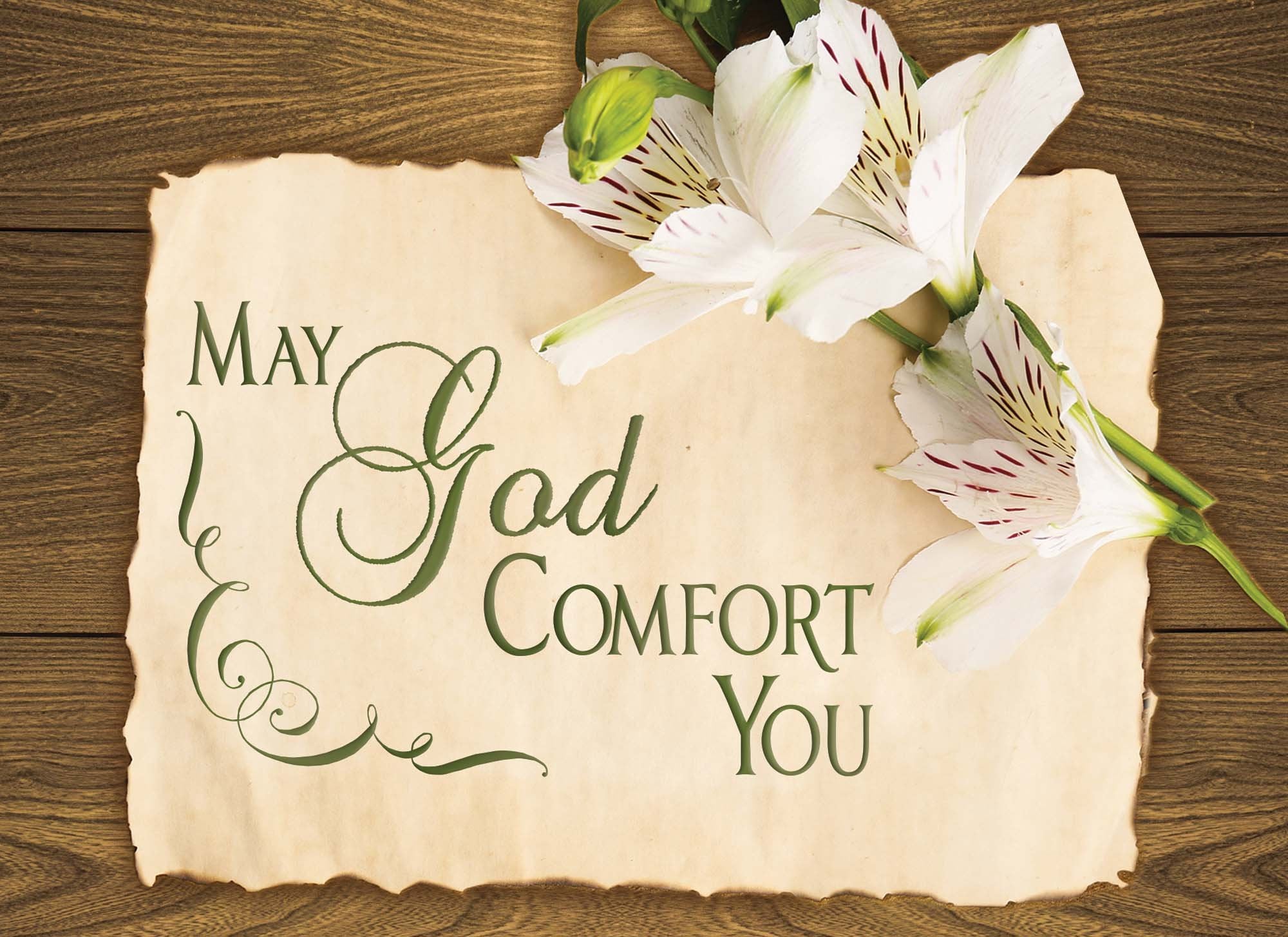 Occasions Get Well and Sympathy - Box of 12 Assorted Get Well and Sympathy Cards by Shared Blessings