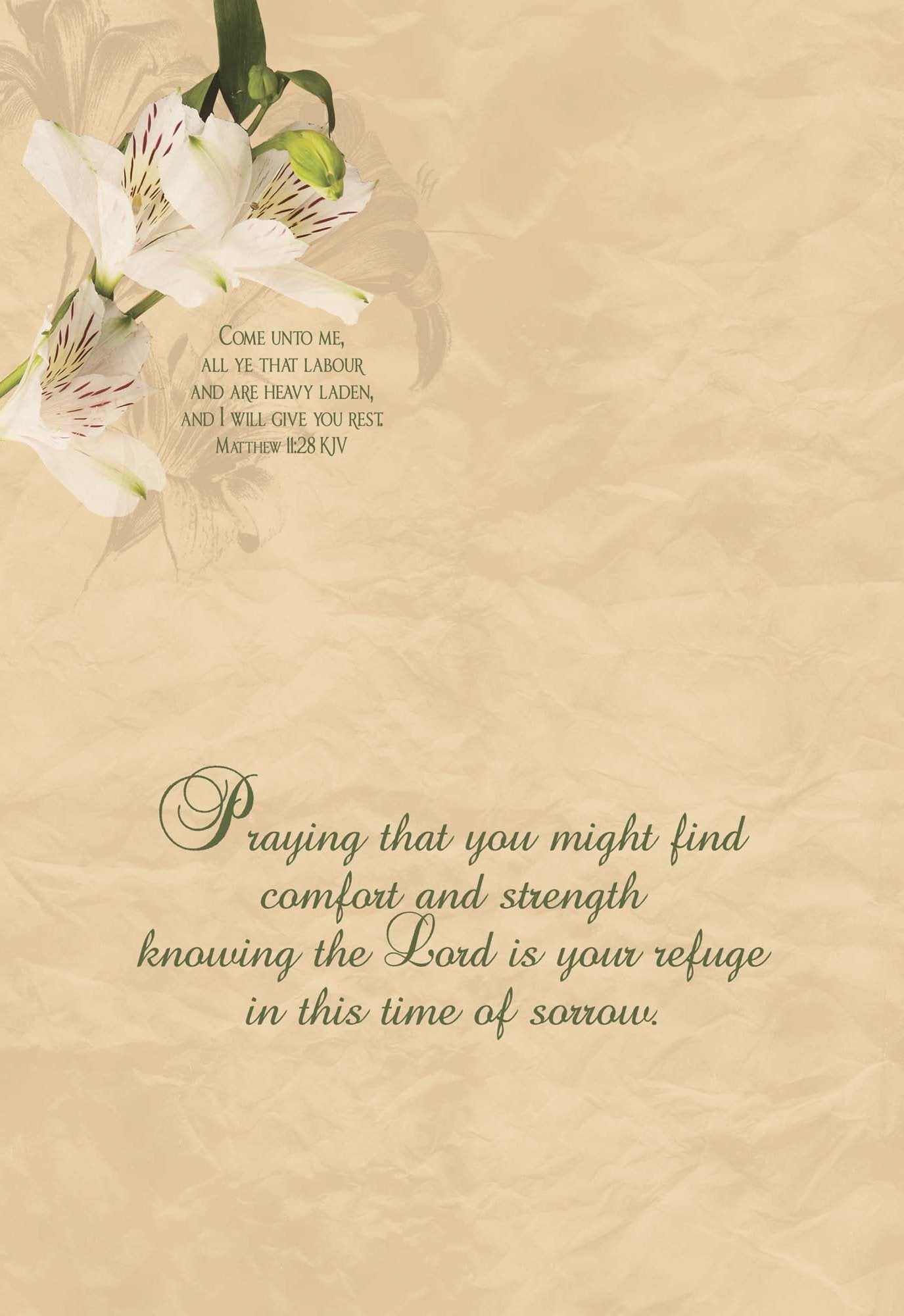 Occasions Get Well and Sympathy - Box of 12 Assorted Get Well and Sympathy Cards by Shared Blessings