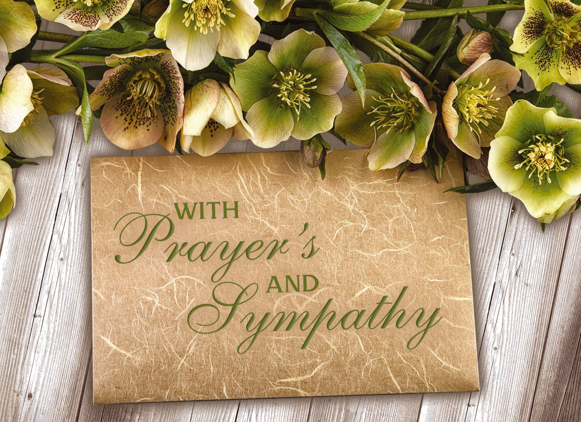 Vintage Floral - Boxed Assorted Sympathy