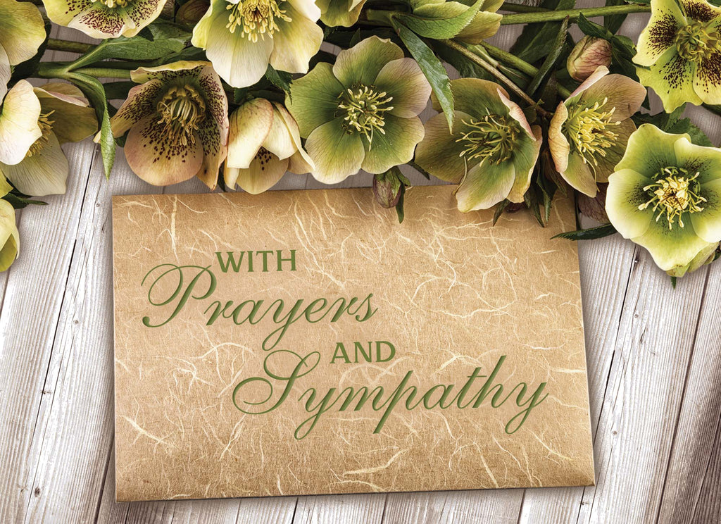 Religious Sympathy Cards | Thoughts of Sympathy - Box of 24 Assorted Sympathy Cards by Shared Blessings