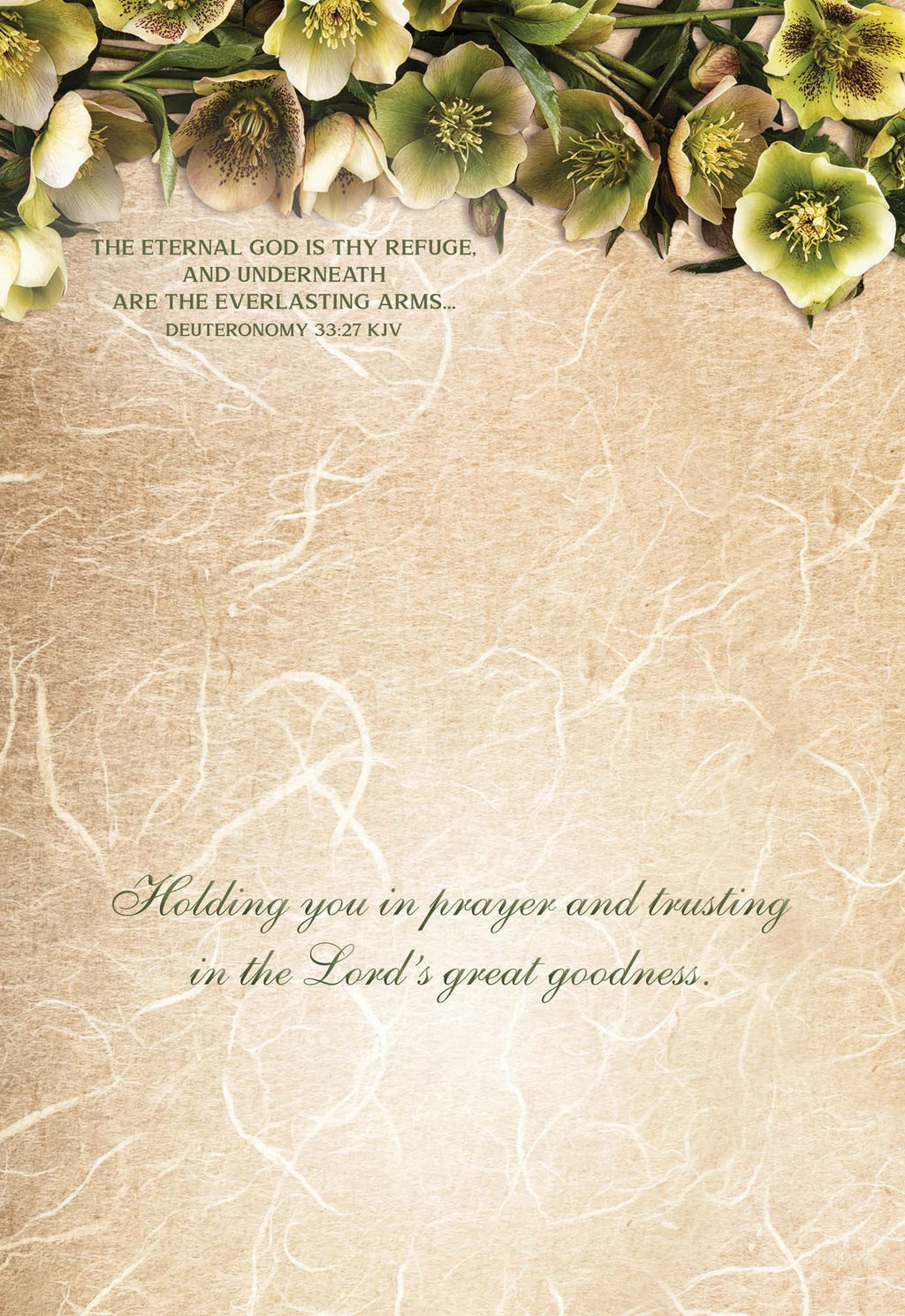 Religious Sympathy Cards | Thoughts of Sympathy - Box of 24 Assorted Sympathy Cards by Shared Blessings