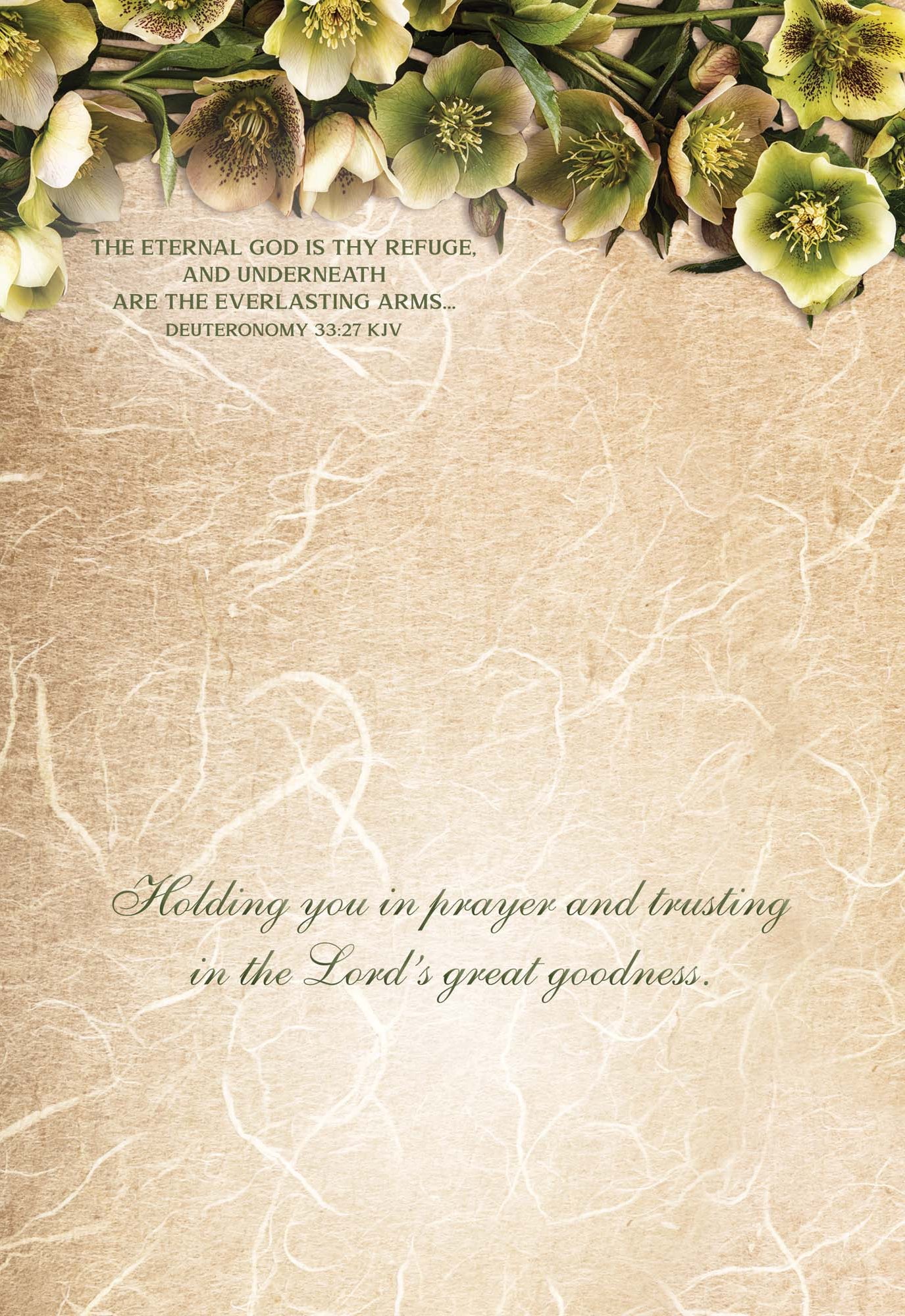 Thoughts of Sympathy - Box of 24 Assorted Sympathy Cards by Shared Blessings