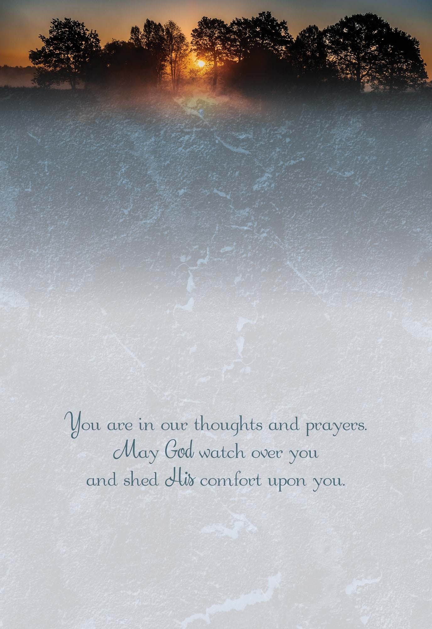 Christian Sympathy Cards by Shared Blessings - Serene Sympathy - 12 Assorted Sympathy Cards