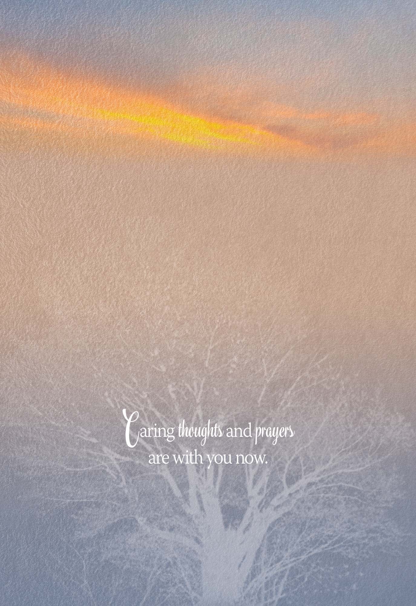 Christian Sympathy Cards by Shared Blessings - Serene Sympathy - 12 Assorted Sympathy Cards