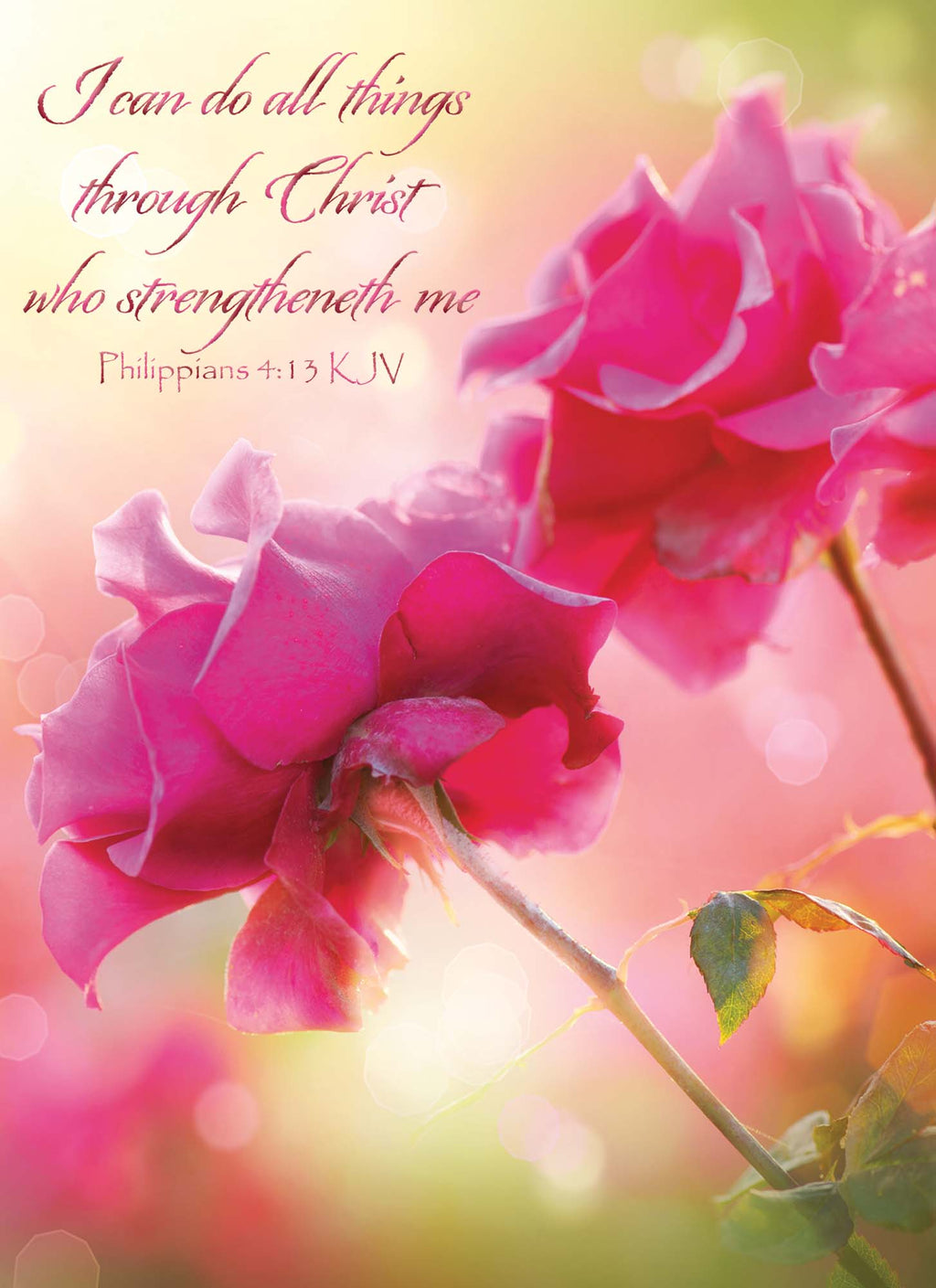 Spring Blossoms - Encouragement Cards, 12 Boxed Greeting cards by Shared Blessings