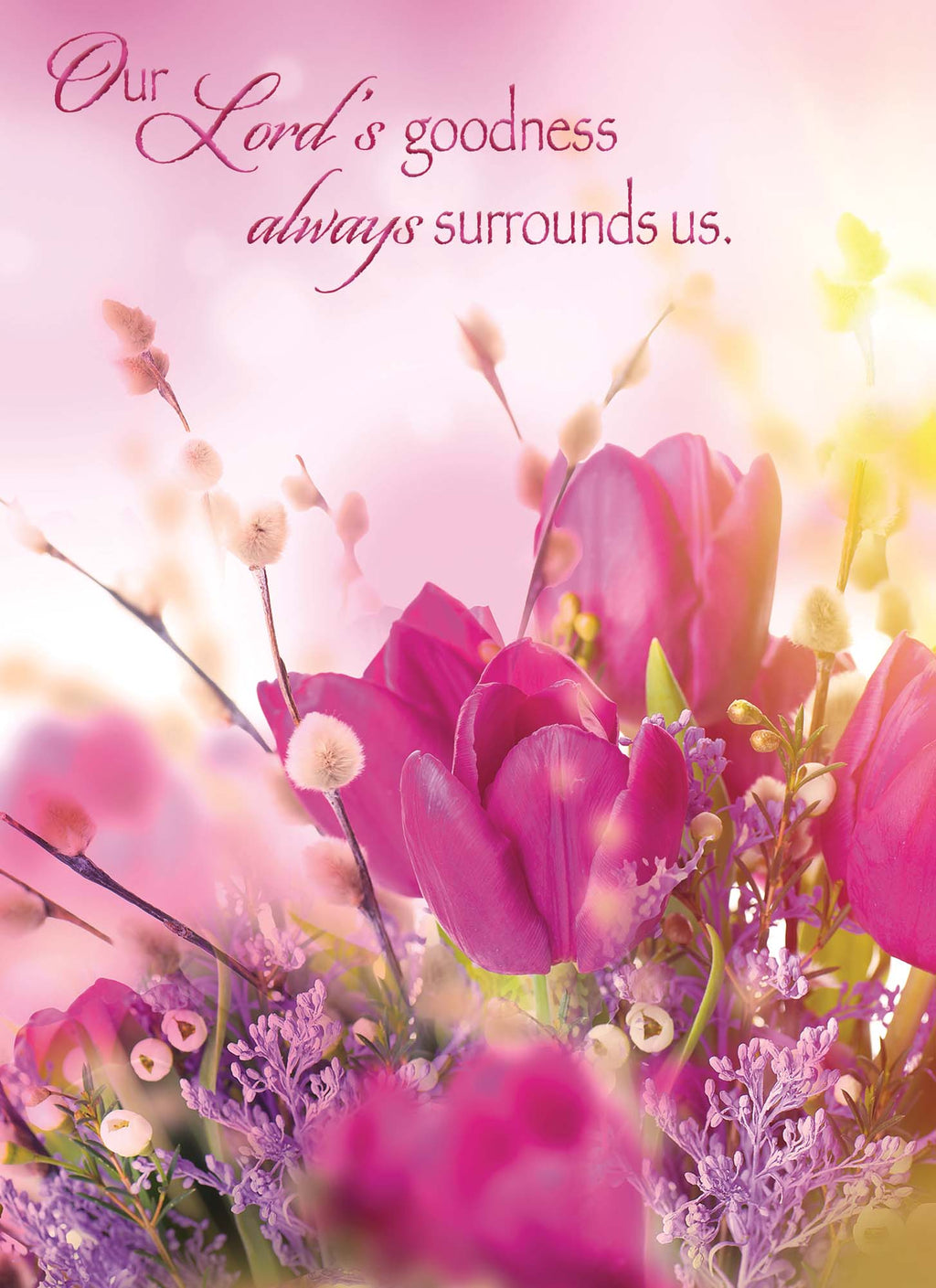 Spring Blossoms - Encouragement Cards, 12 Boxed Greeting cards by Shared Blessings