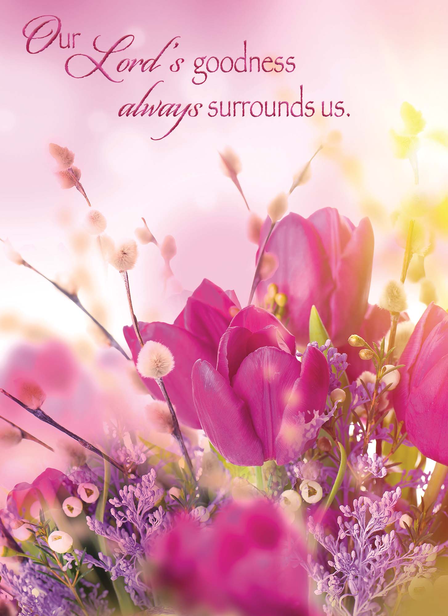 Spring Blossoms - Encouragement Cards, 12 Boxed Greeting cards by Shared Blessings