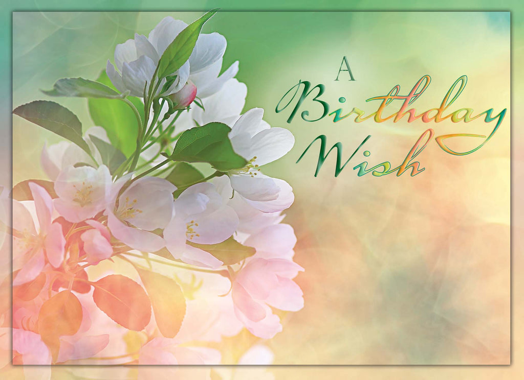 Christian Birthday Cards by Shared Blessings - Celebrations, 48 Assorted Cards