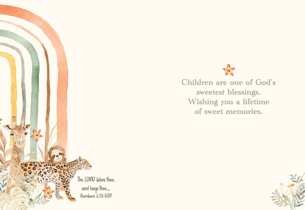 Christian New Baby Cards by Shared Blessings - Bundle of Joy - 12 Assorted New Baby Cards