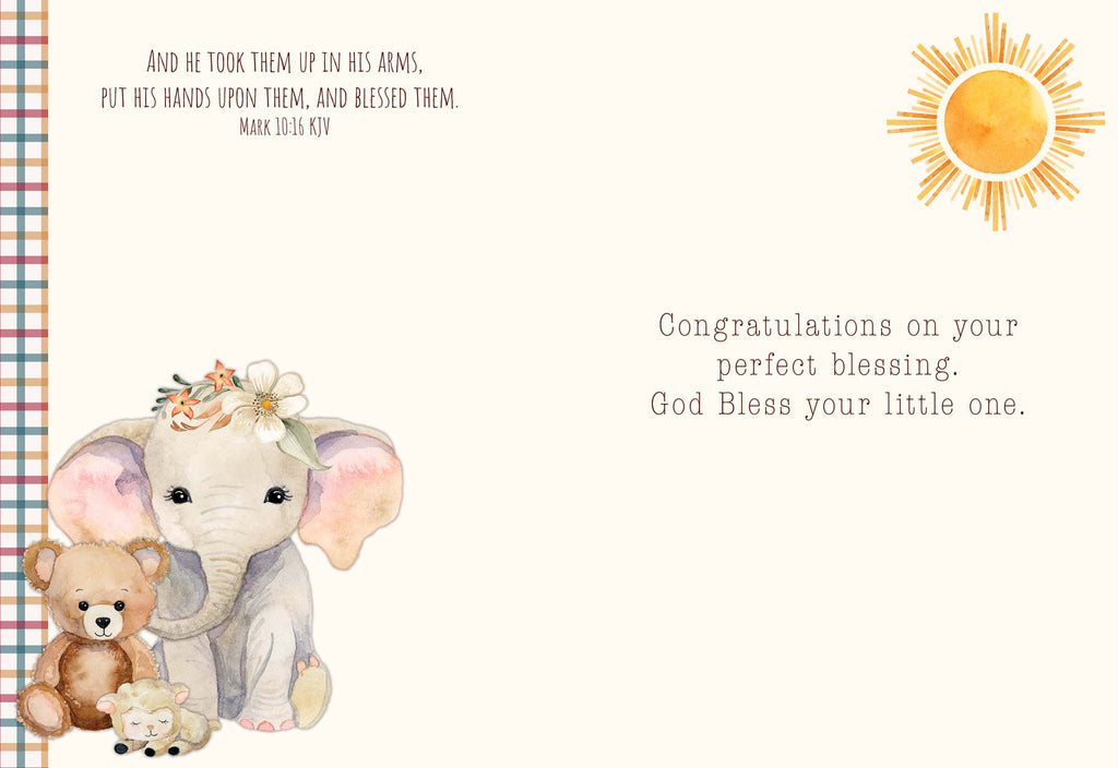 Christian New Baby Cards by Shared Blessings - Bundle of Joy - 12 Assorted New Baby Cards