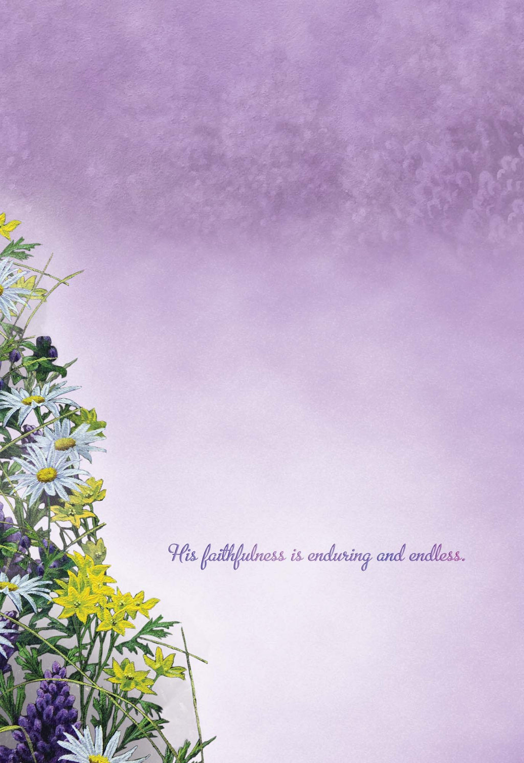 Christian Encouragement Cards by Shared Blessings - Hummingbirds - 12 Assorted Encouragement Cards