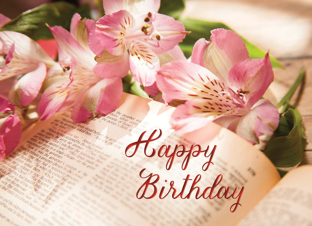 Christian Birthday Cards by Shared Blessings - Celebrations, 48 Assorted Cards