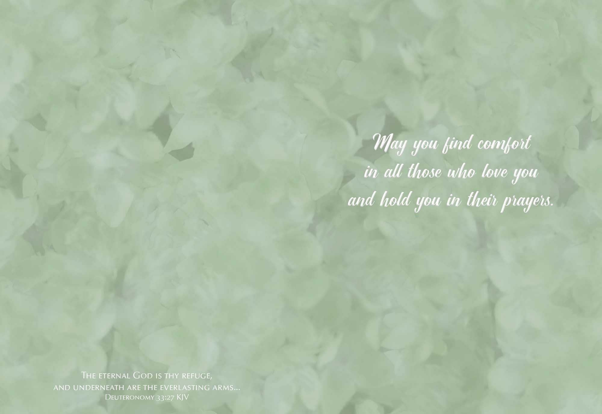 Christian Sympathy Cards by Shared Blessings, Feathers of Faith - 12 Cards