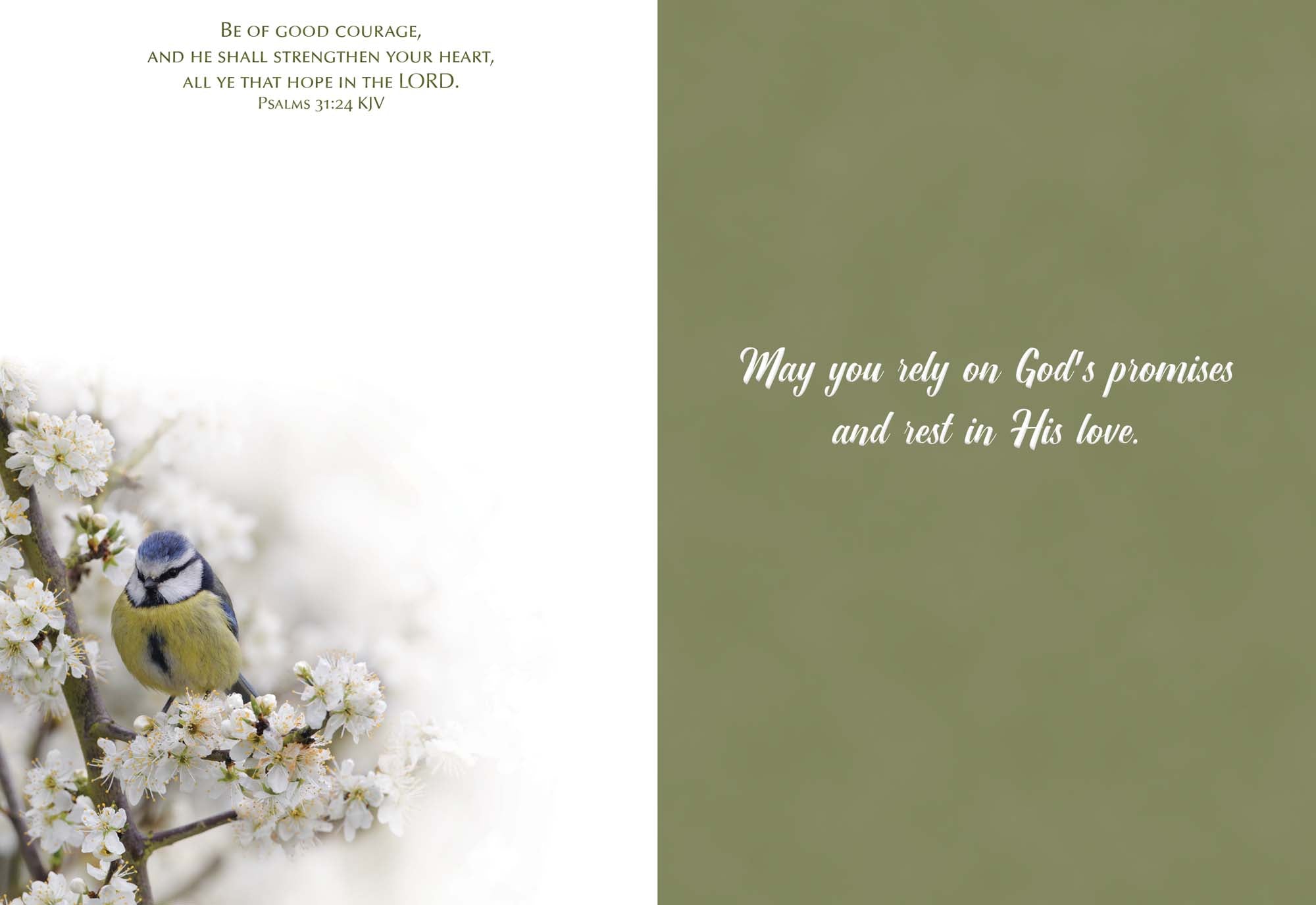 Christian Sympathy Cards by Shared Blessings, Feathers of Faith - 12 Cards