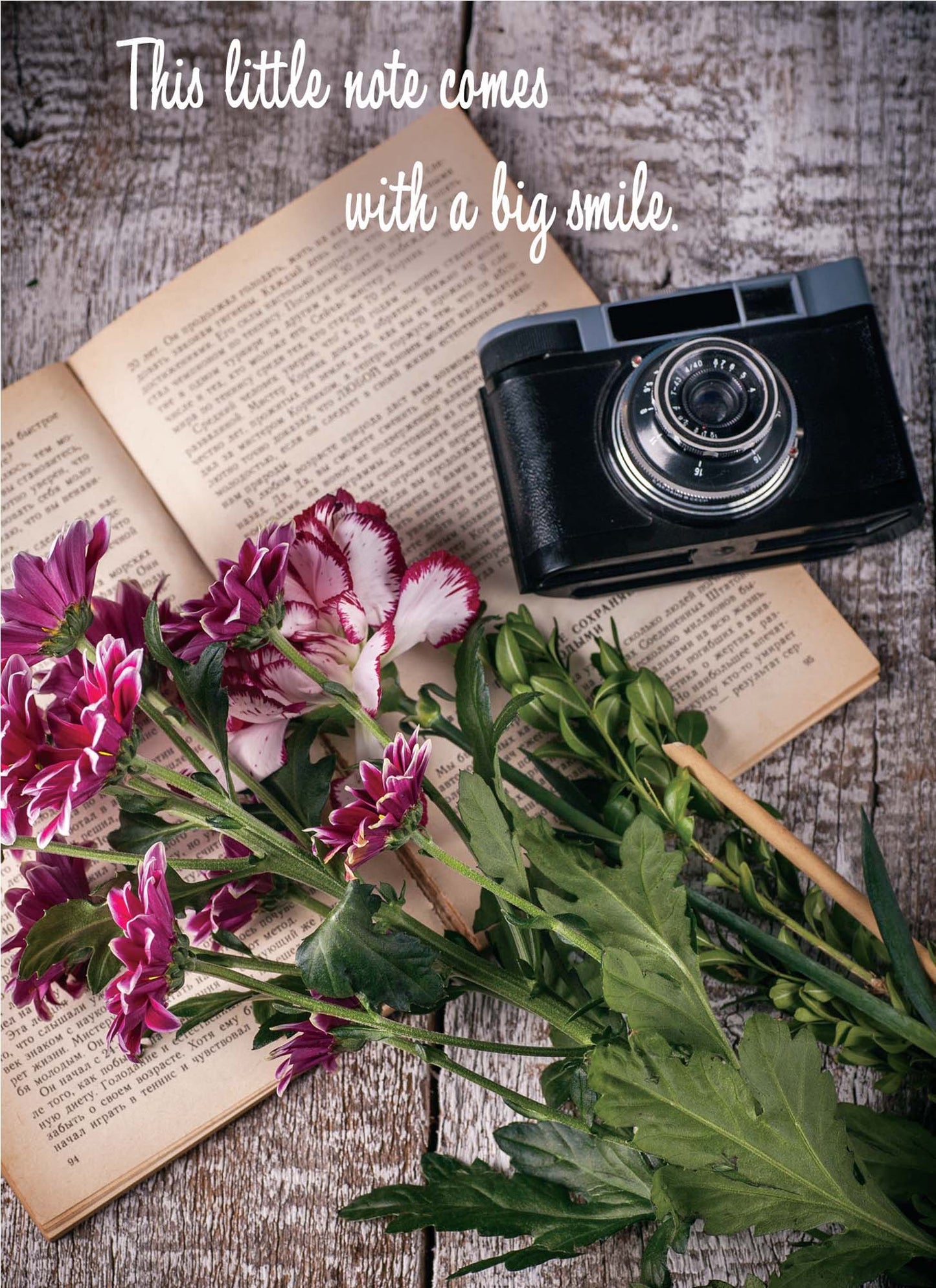 Religious Secret Sister Cards by Shared Blessings, Secret Sister, 12 Cards and Envelopes