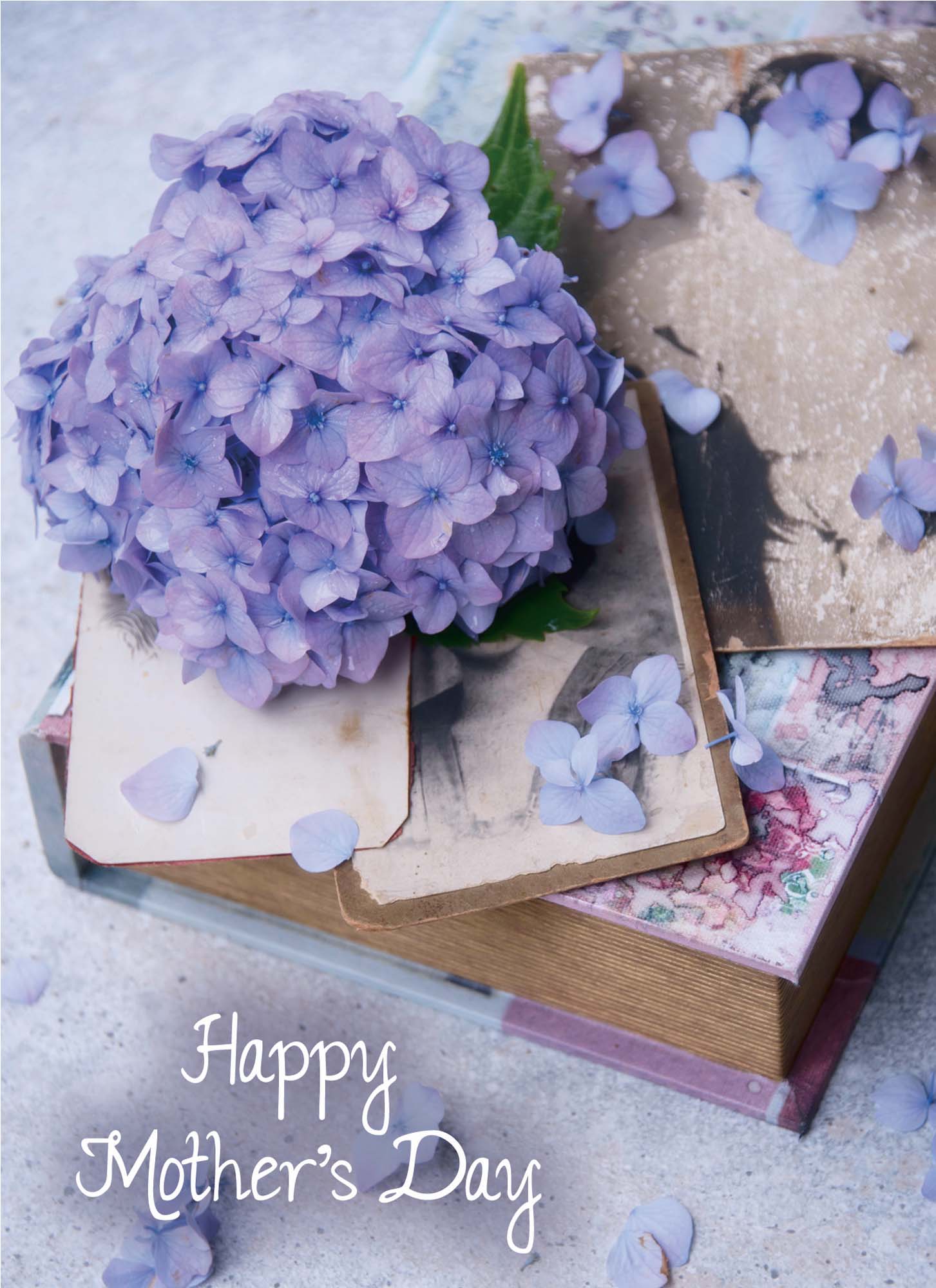 Religious Secret Sister Cards by Shared Blessings, Secret Sister