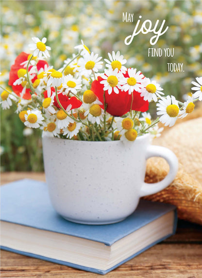 Religious Secret Sister Cards by Shared Blessings, Secret Sister, 12 Cards and Envelopes