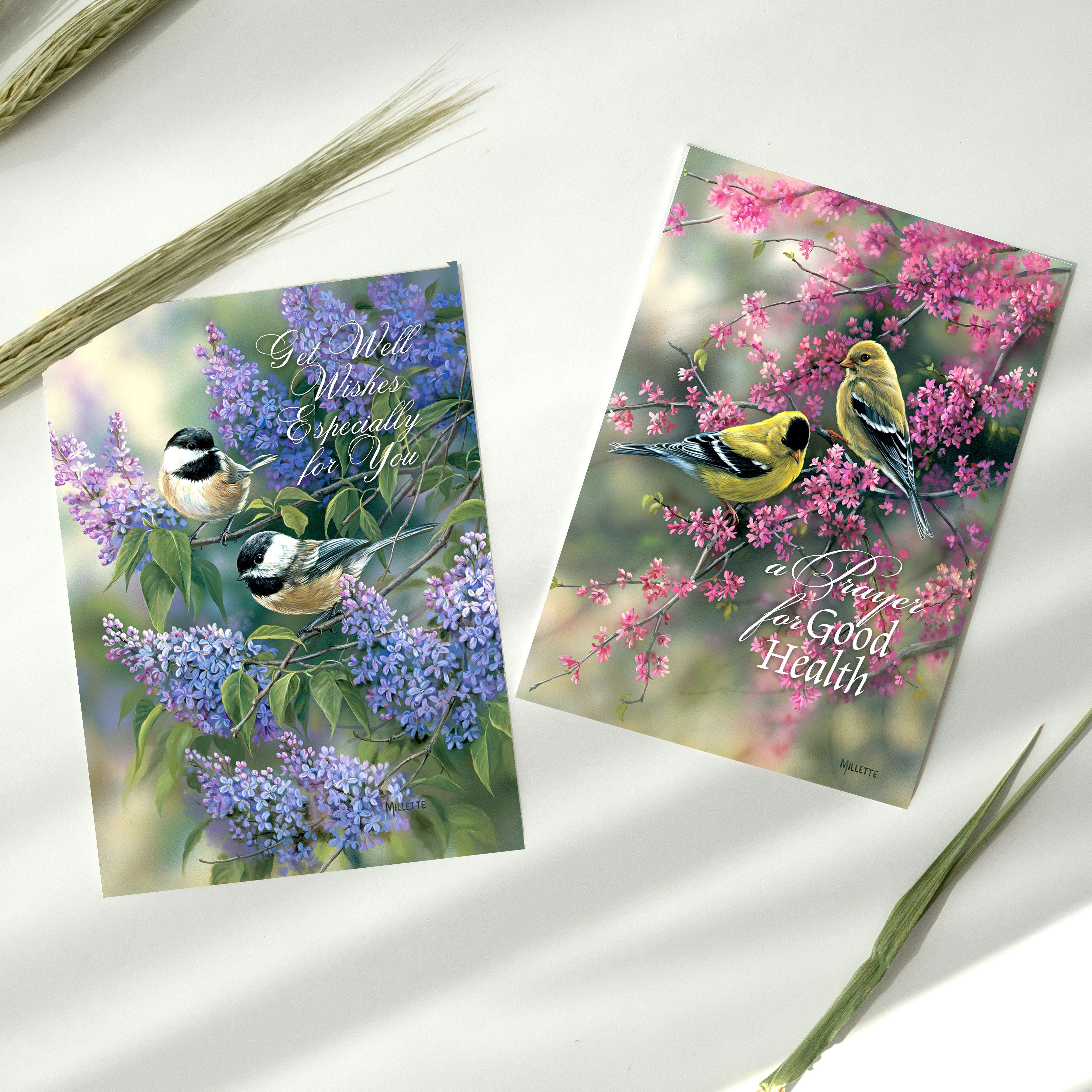 front of 2 get well cards with birds