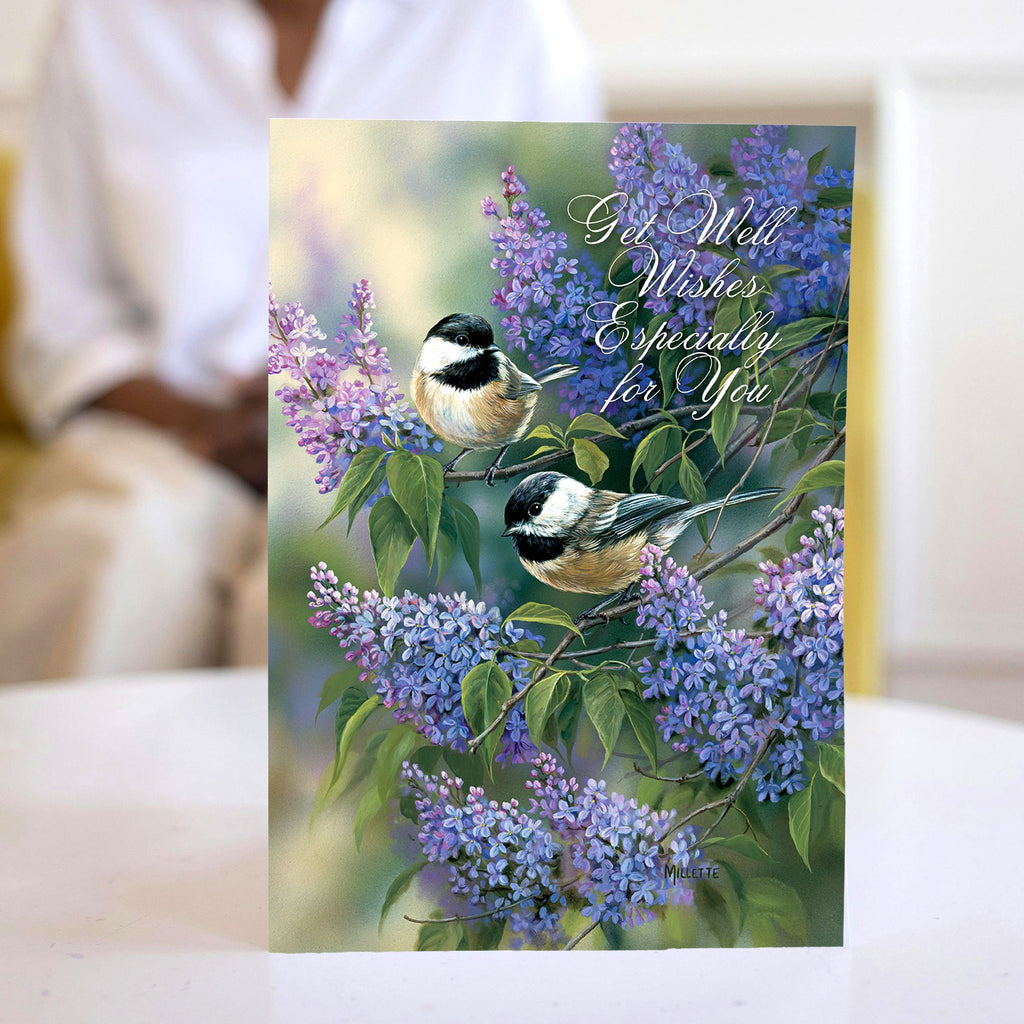 front of 1 get well card with bird