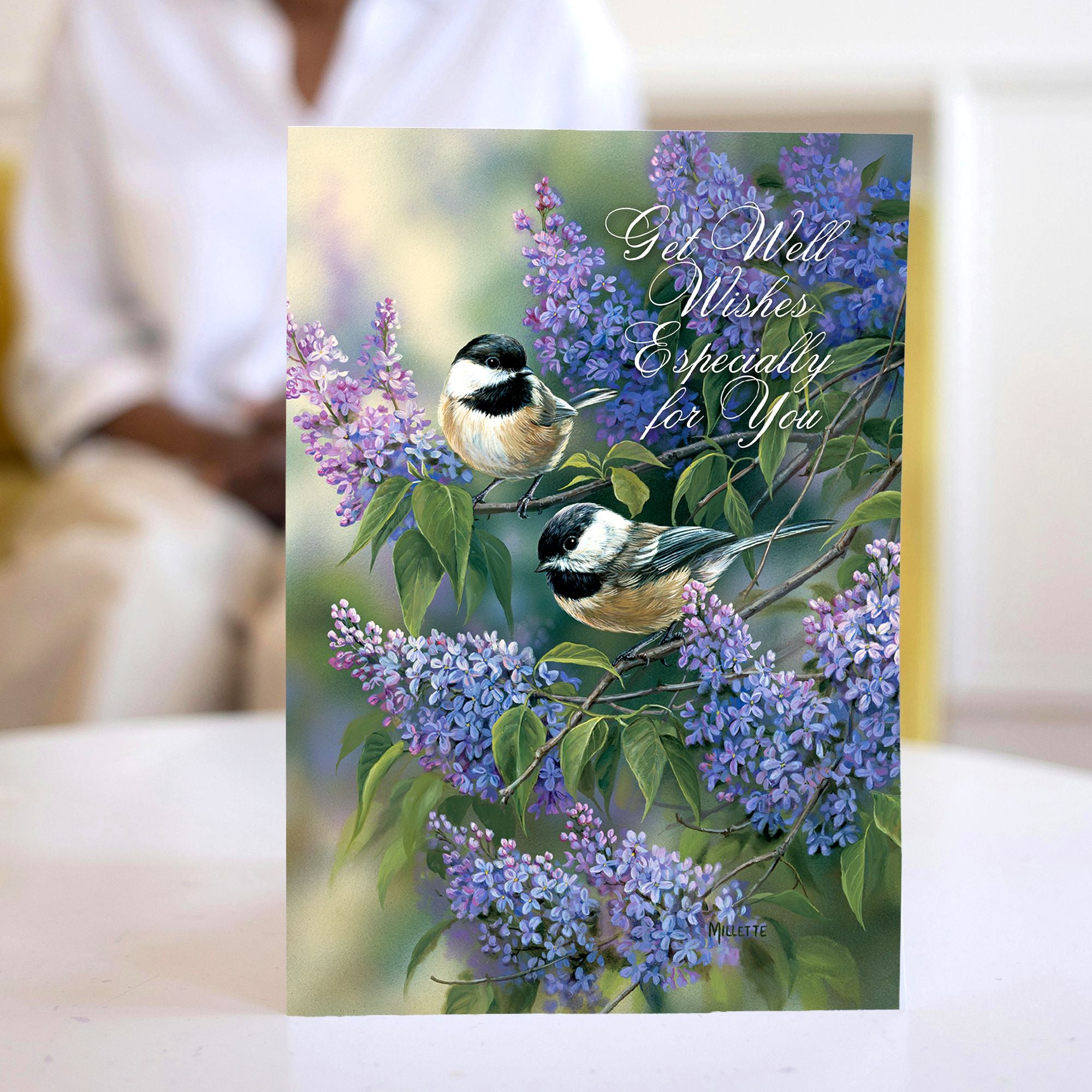 front of 1 get well card with bird