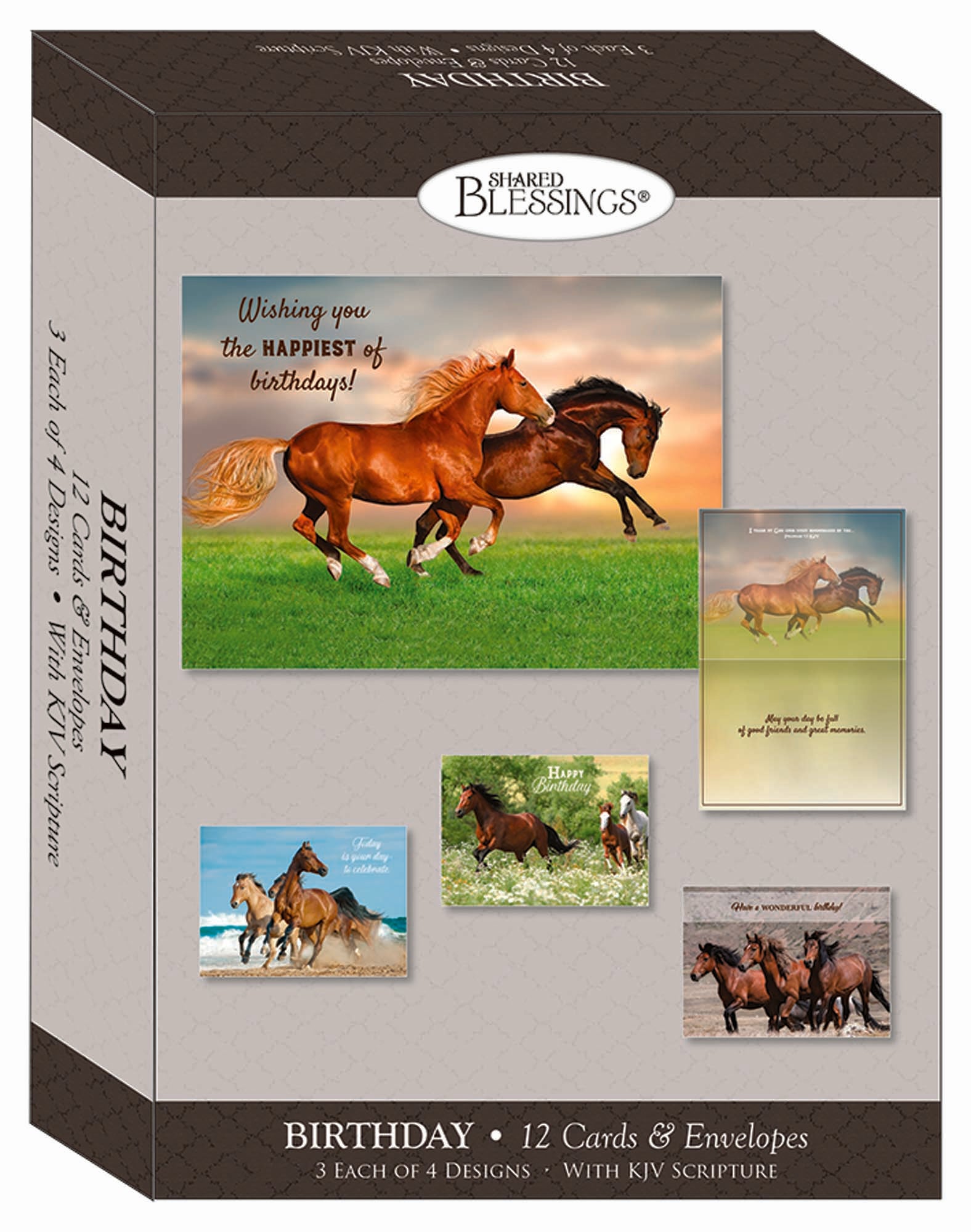 Wild Horse Birthday cards Box
