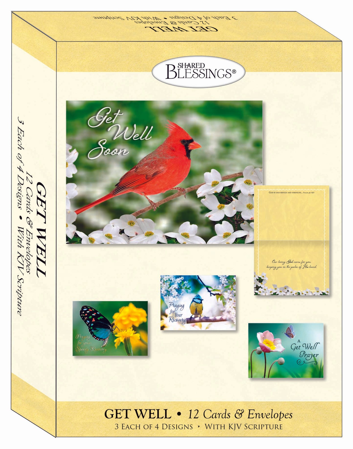 Get Well - Birds and Butterflies - Assorted Get Well Cards